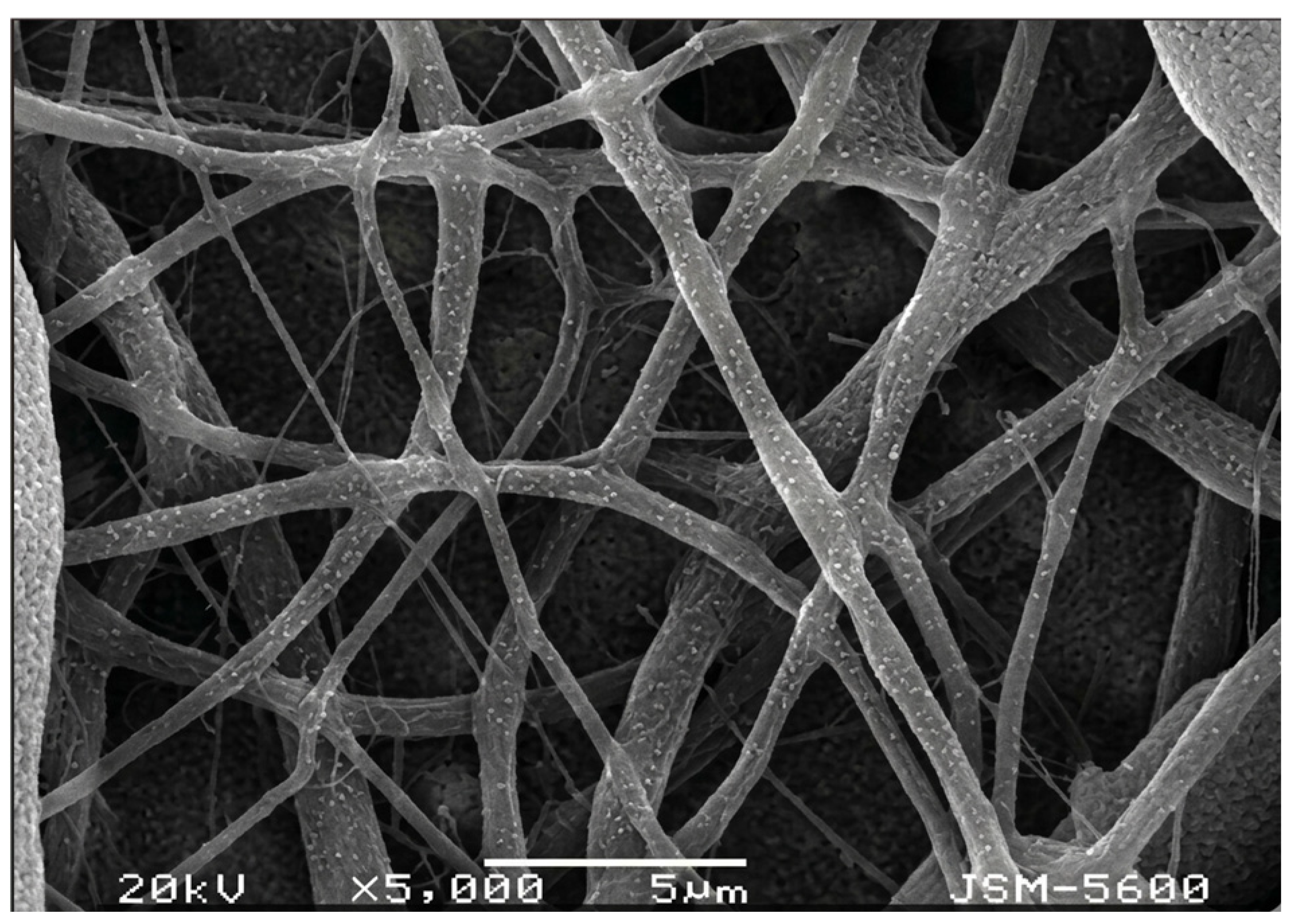 Polymers 18 01288 g006 Polymers 18 01288 g006