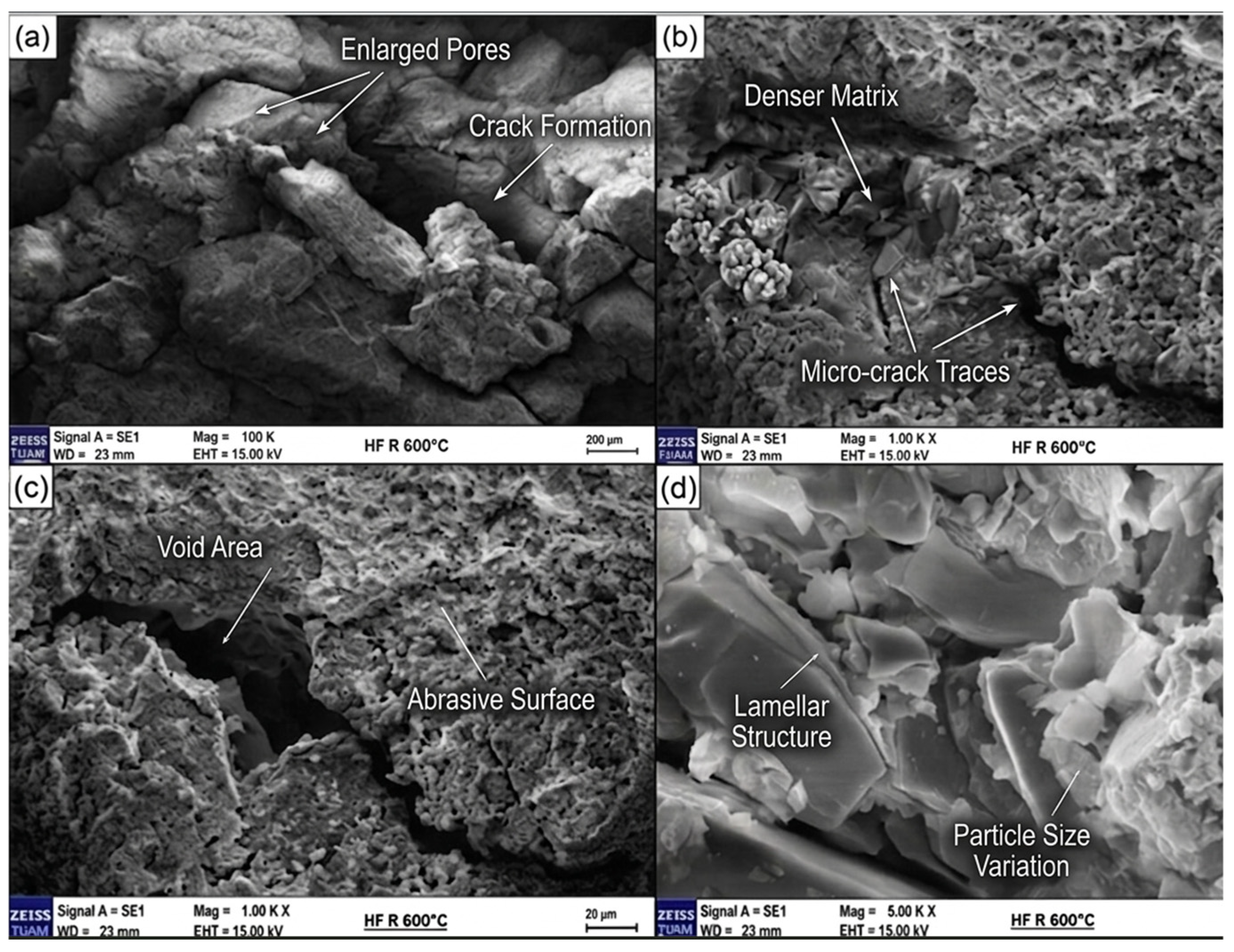 Polymers 18 01288 g013 Polymers 18 01288 g013