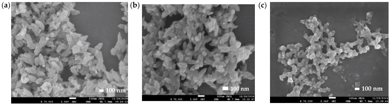 Polymers 18 01301 g013 Polymers 18 01301 g013