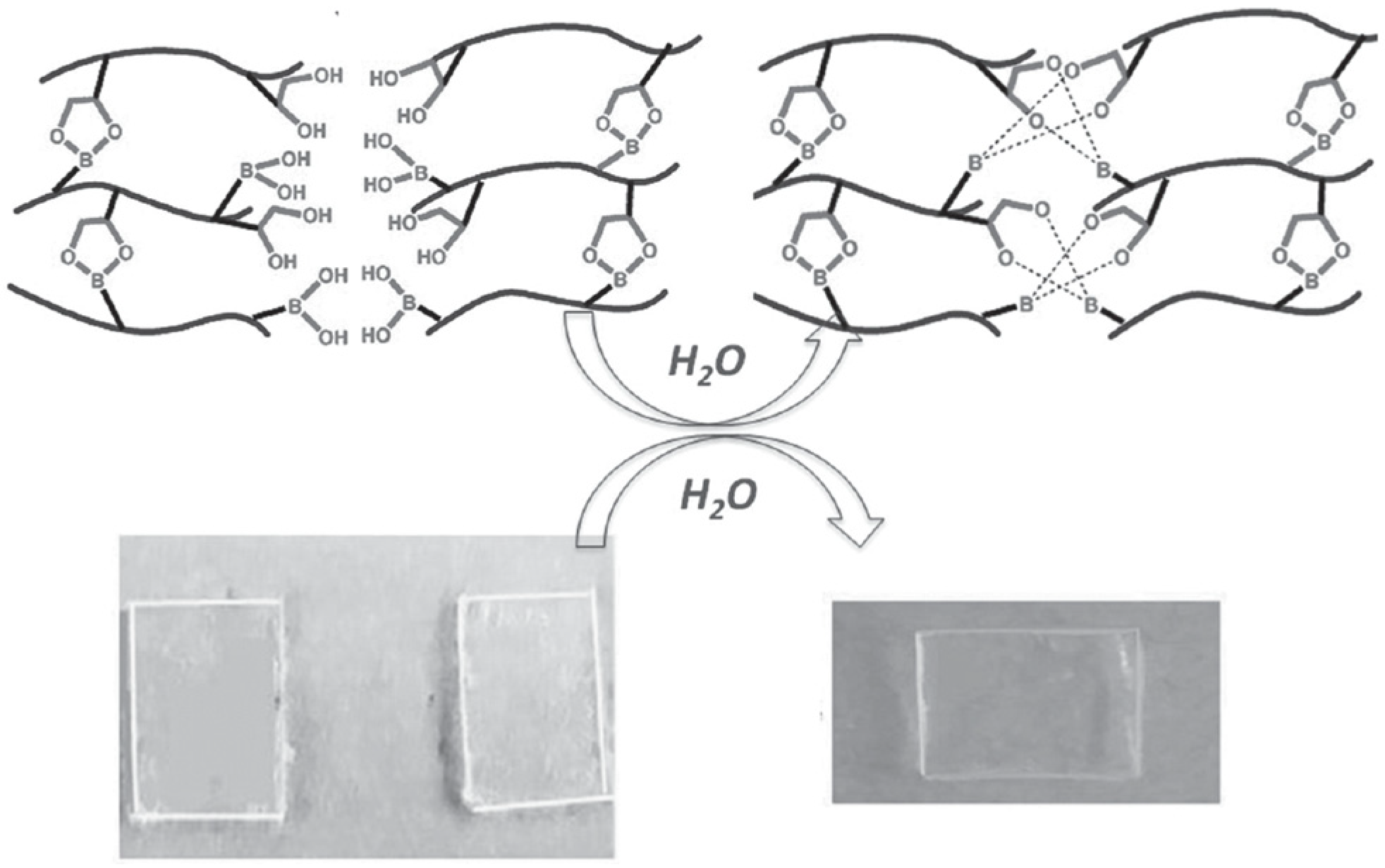 Polymers 18 01317 g010