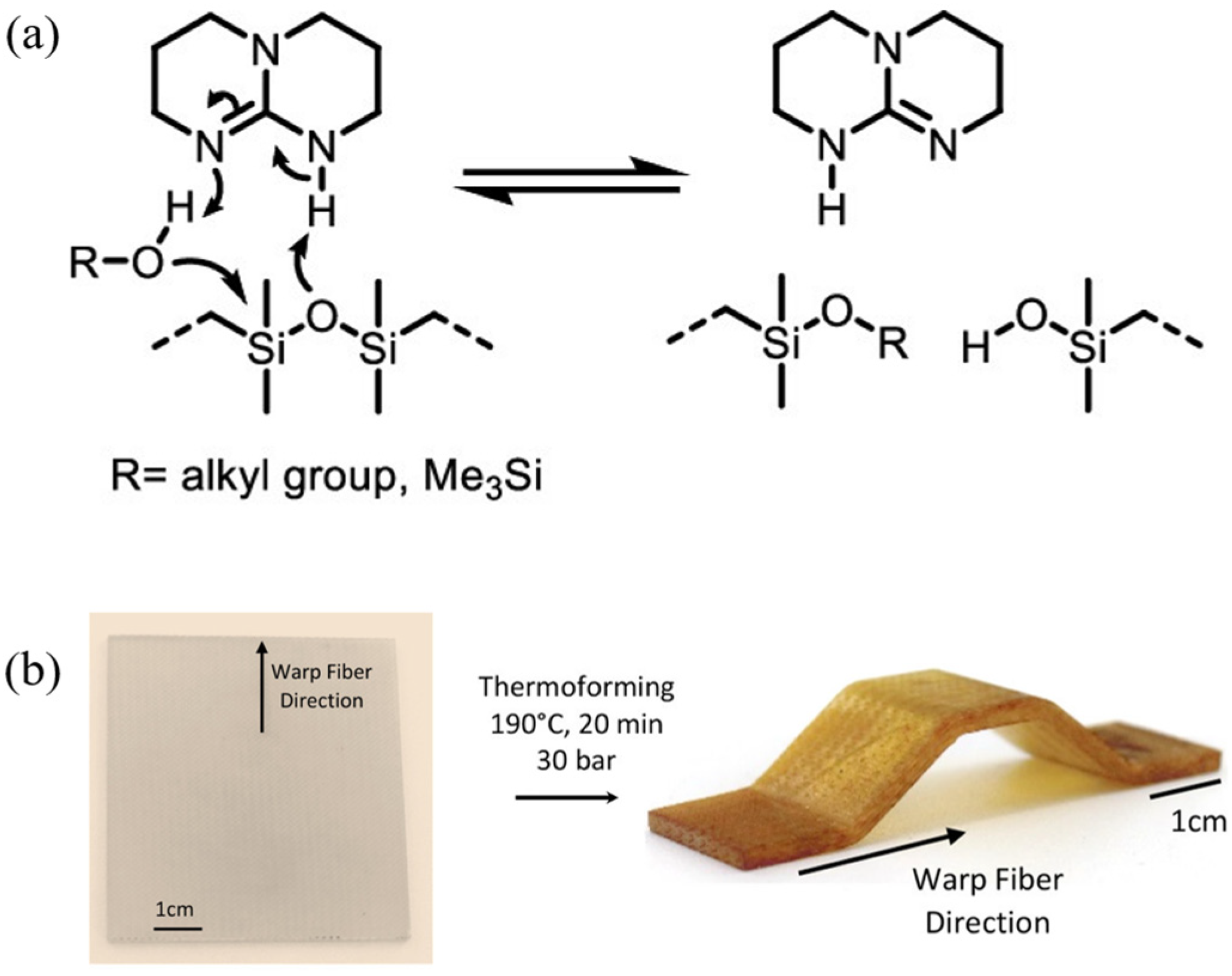 Polymers 18 01317 g013