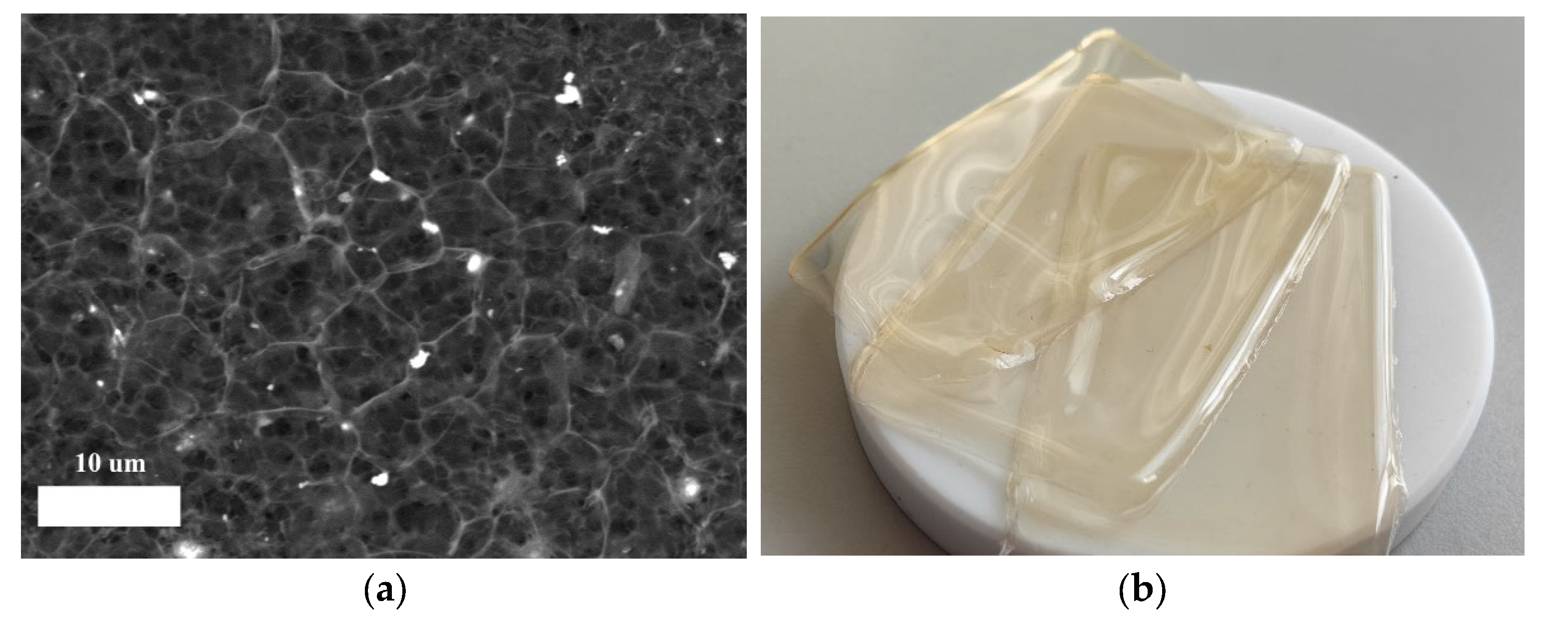 Polymers 18 01327 g002