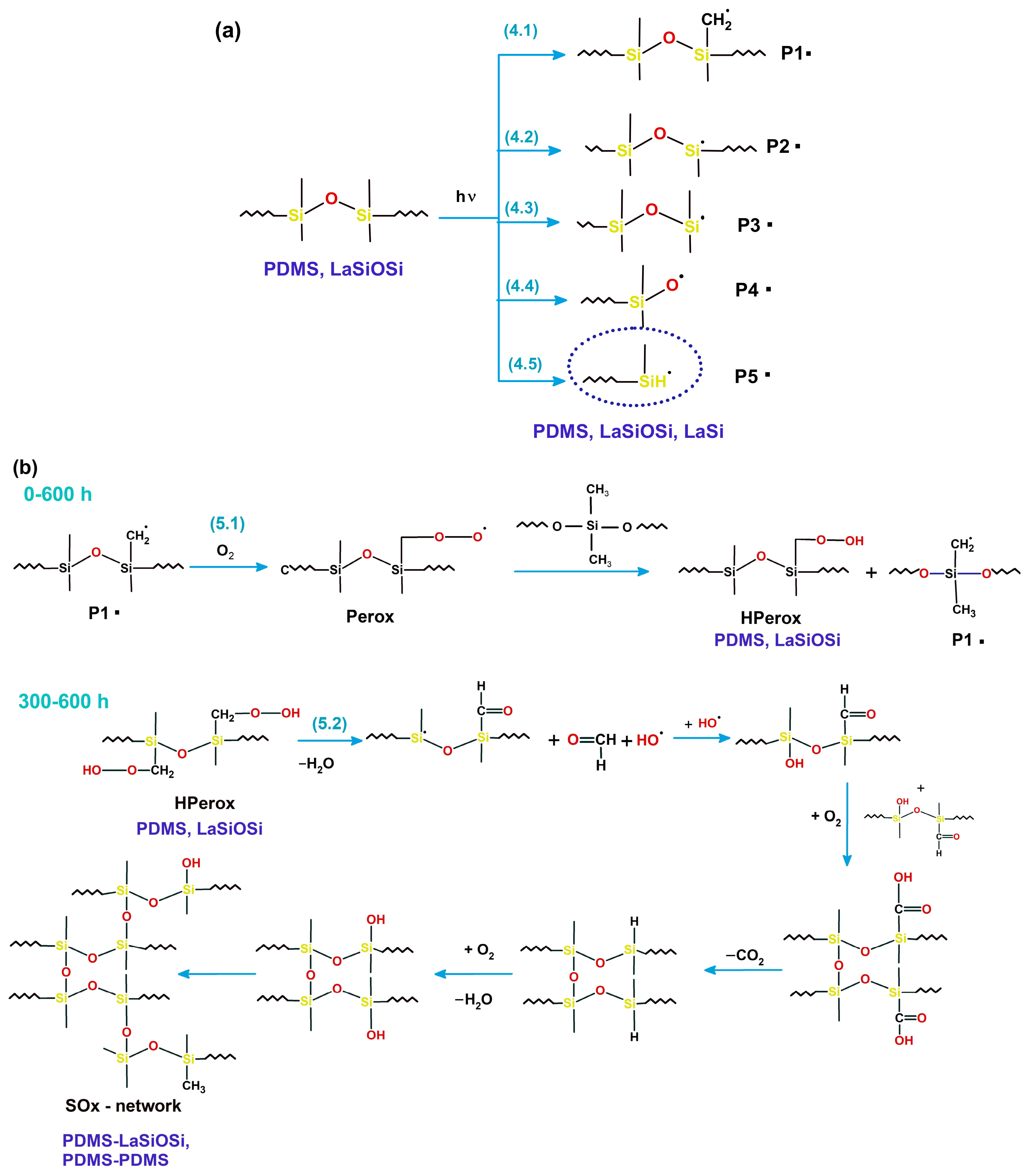 Polymers 18 01334 sch004