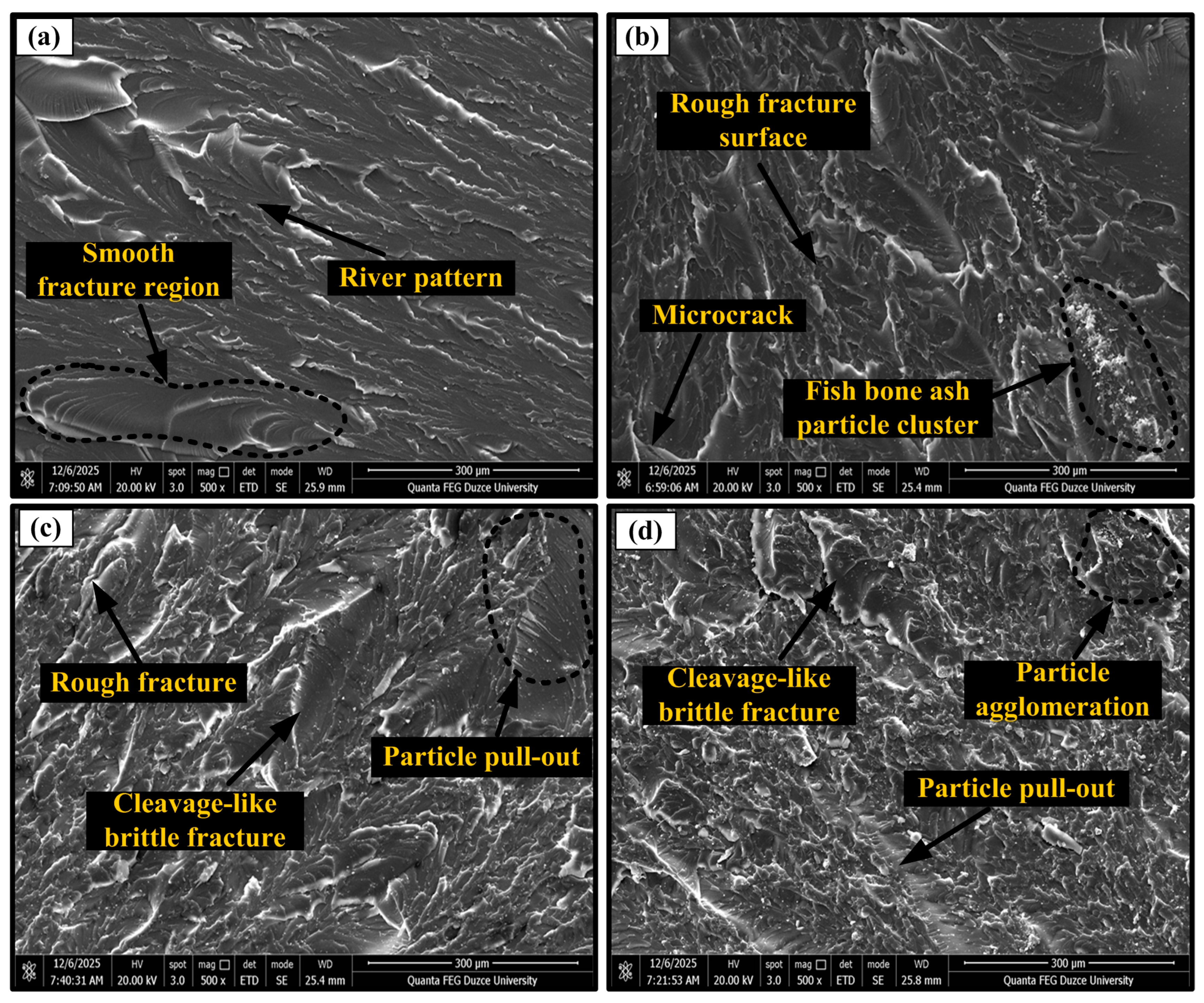 Polymers 18 01348 g006 Polymers 18 01348 g006