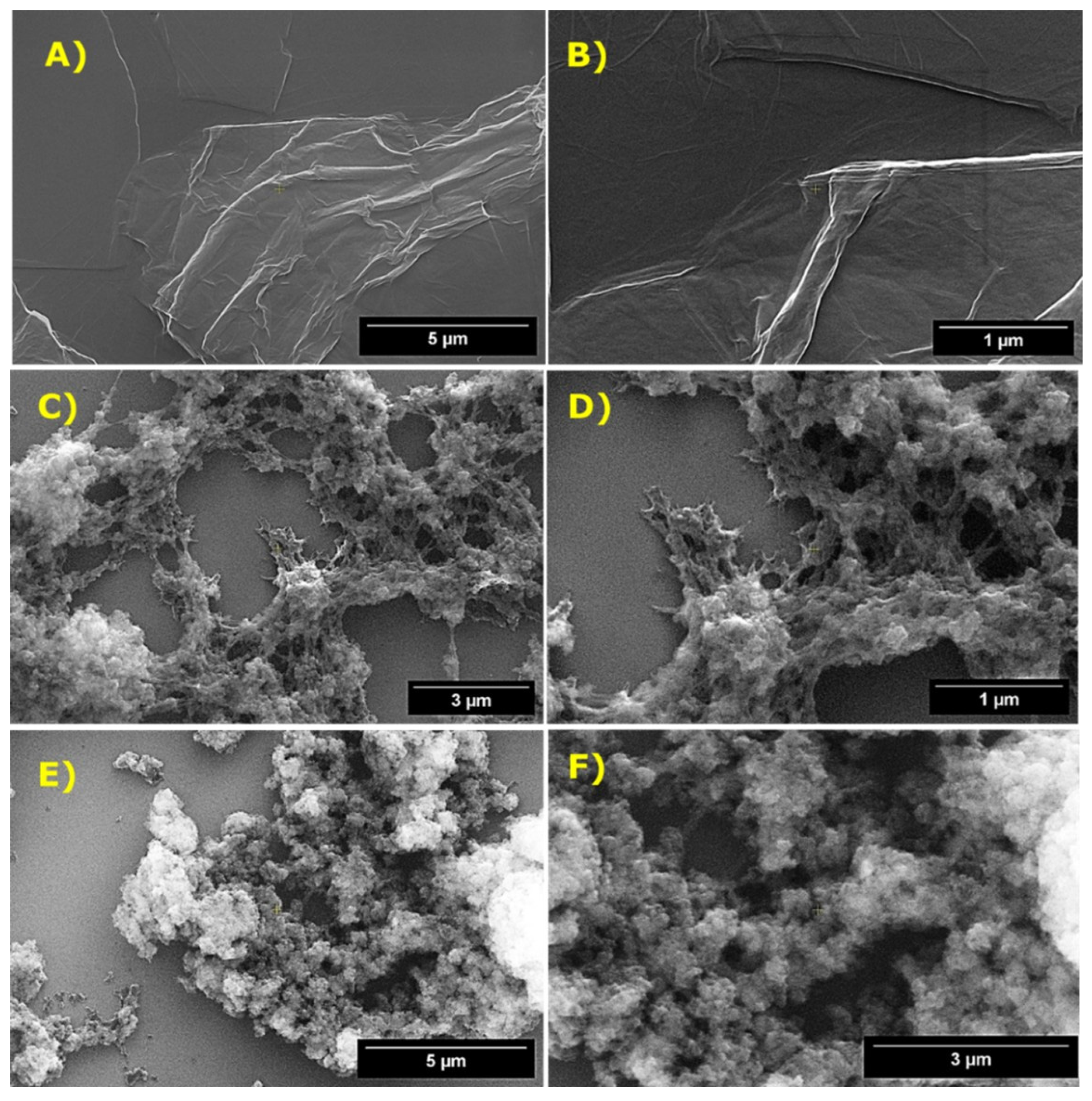 Polymers 18 01362 g005 Polymers 18 01362 g005