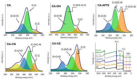 Covalent Immobilization of Crown Ether on Cellulose Acetate