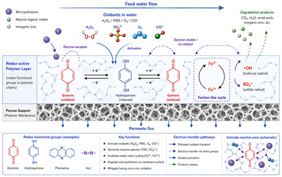 Reactive Polymeric Membranes for Advanced Water Treatment