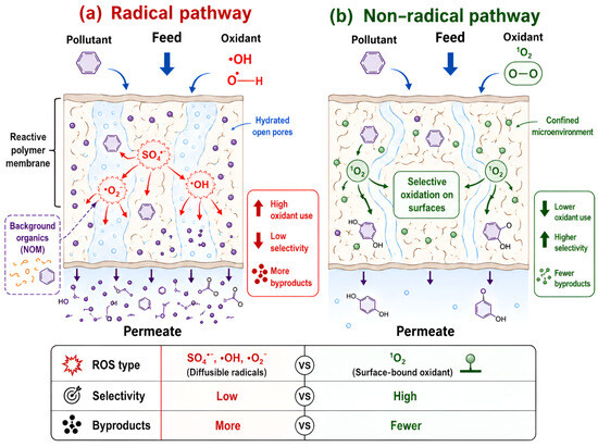 Reactive Polymeric Membranes for Advanced Water Treatment