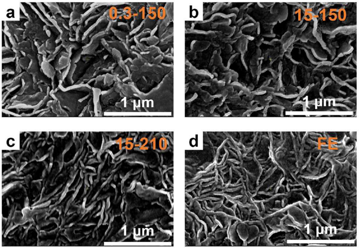 Polymers 18 01402 g008