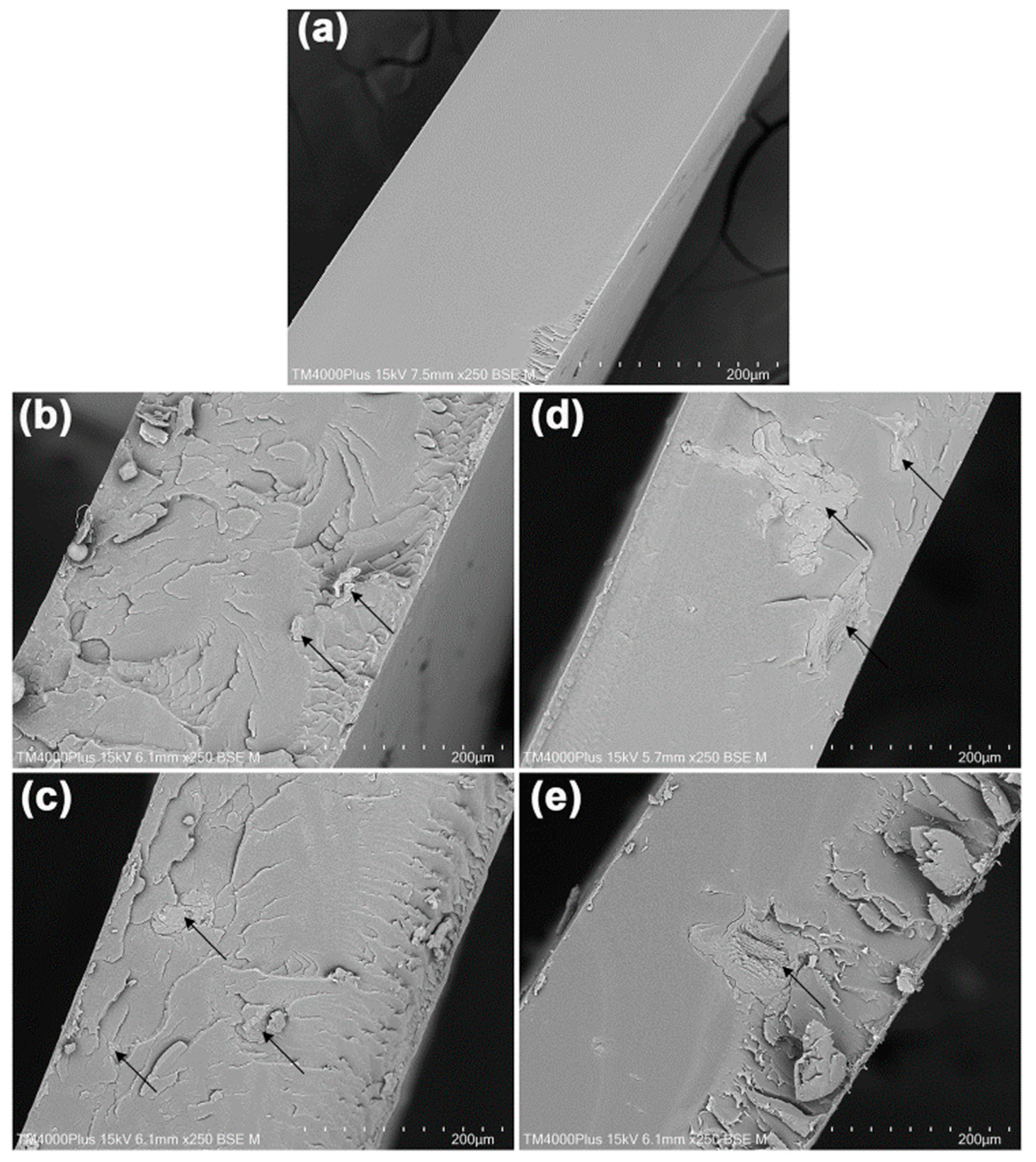 Polymers 18 01404 g004