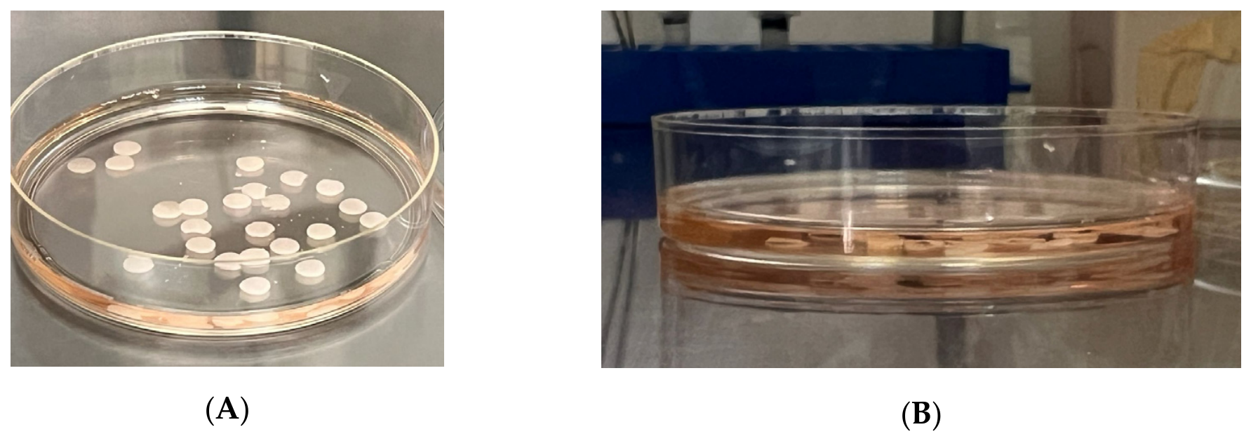 Polymers 18 01407 g001