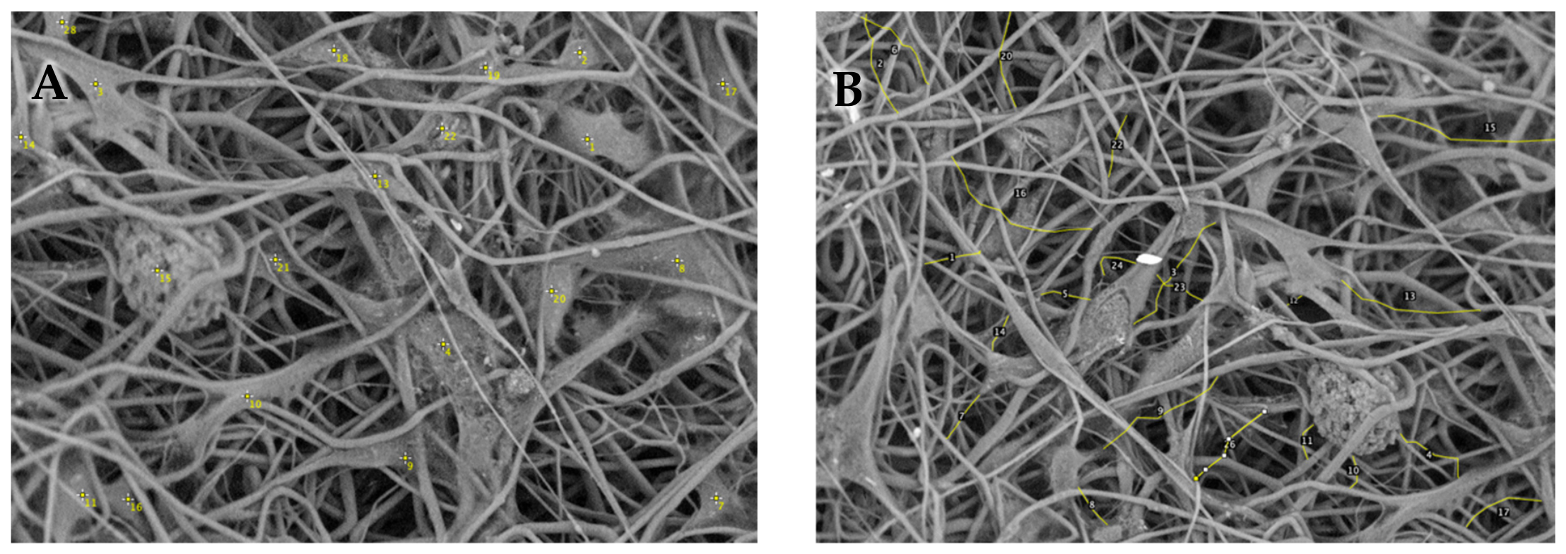 Polymers 18 01407 g002