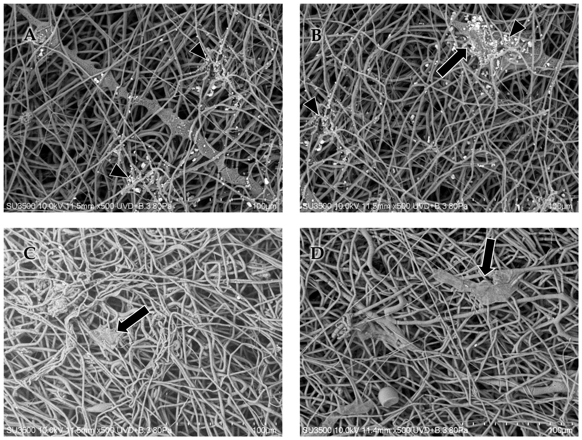 Polymers 18 01407 g005