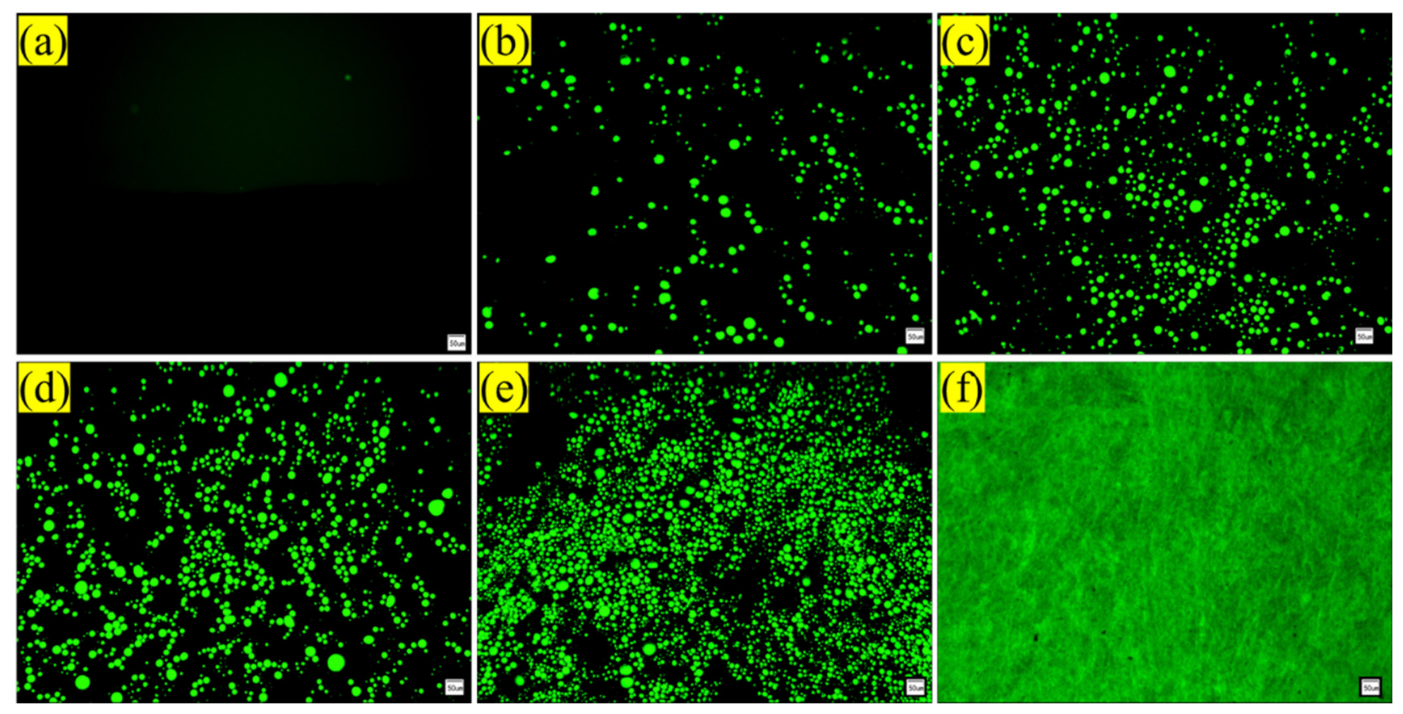 Polymers 18 01474 g016 Polymers 18 01474 g016