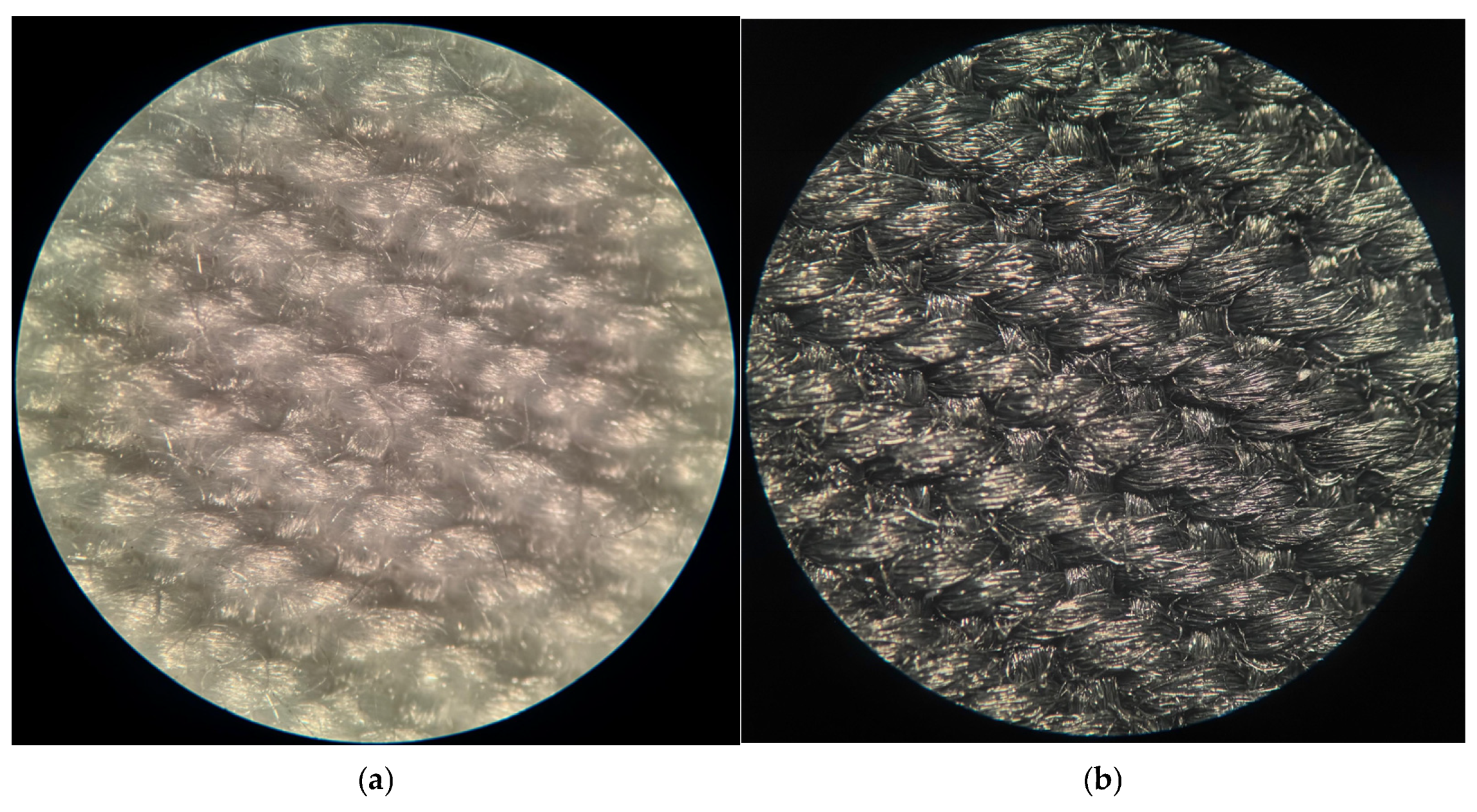 Polymers 18 01478 g004a Polymers 18 01478 g004a