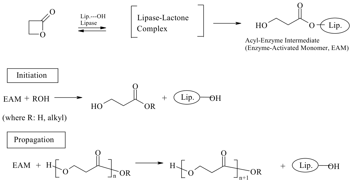 Polymers 18 01488 sch046 Polymers 18 01488 sch046