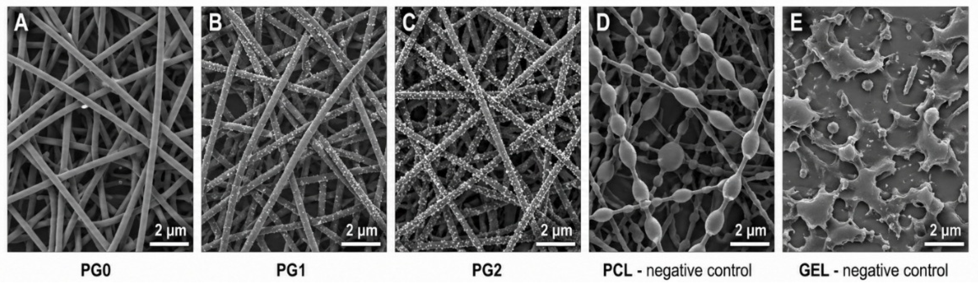 Polymers 18 01495 g003