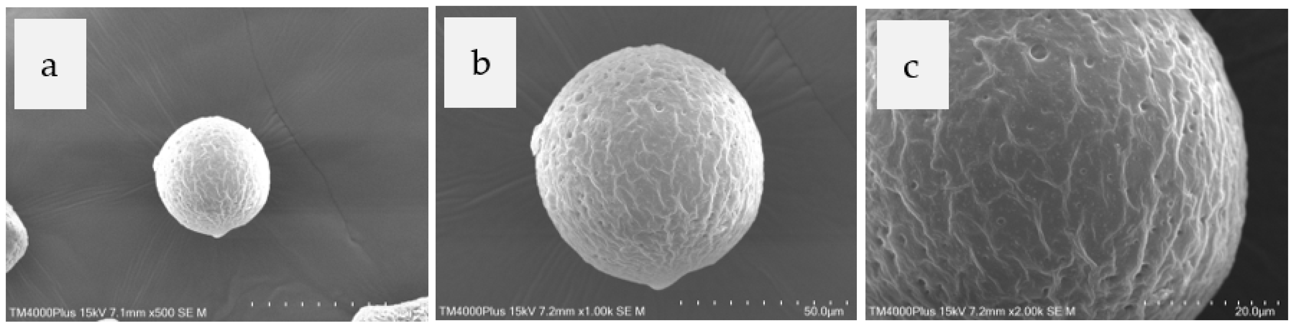 Polymers 18 01496 g005 Polymers 18 01496 g005