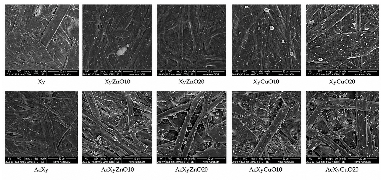Polymers 18 01527 g009 Polymers 18 01527 g009