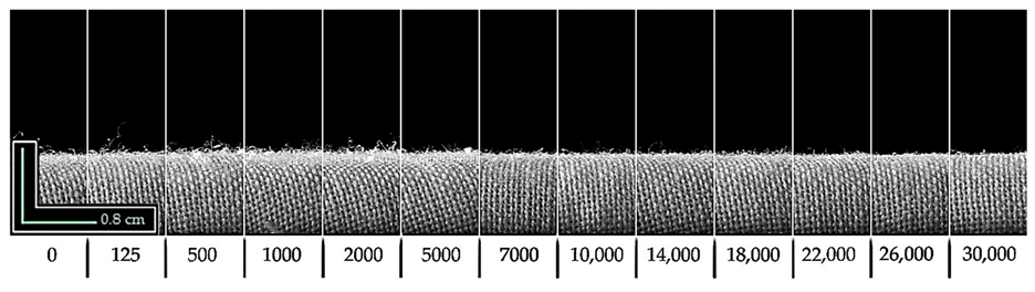 Polymers 18 01532 i004 Polymers 18 01532 i004