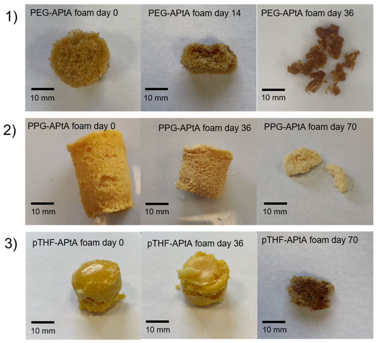Polymers 18 01534 g006