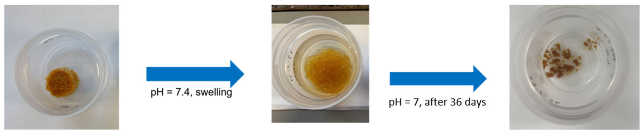 Polymers 18 01534 g008