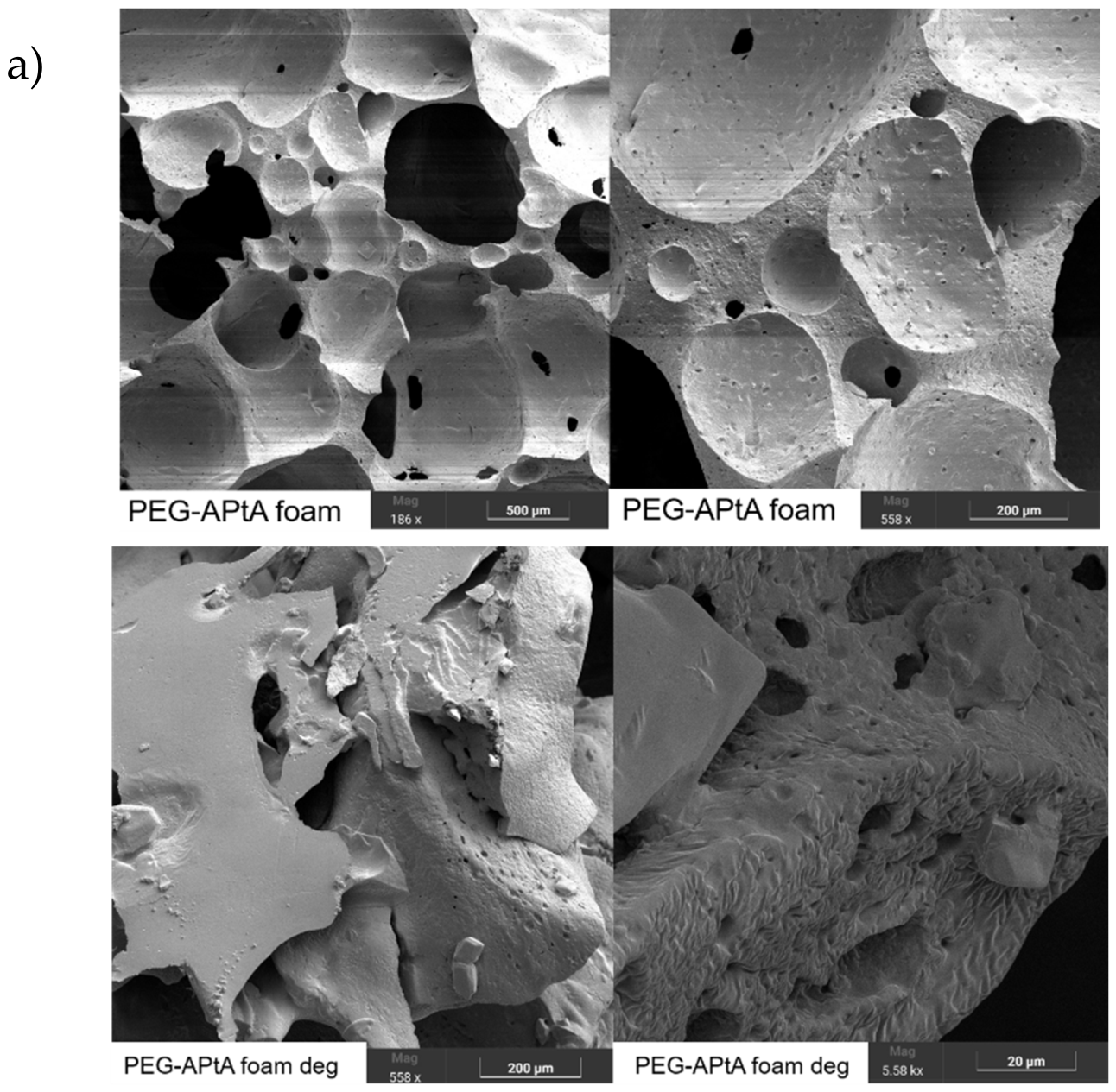 Polymers 18 01534 g010a