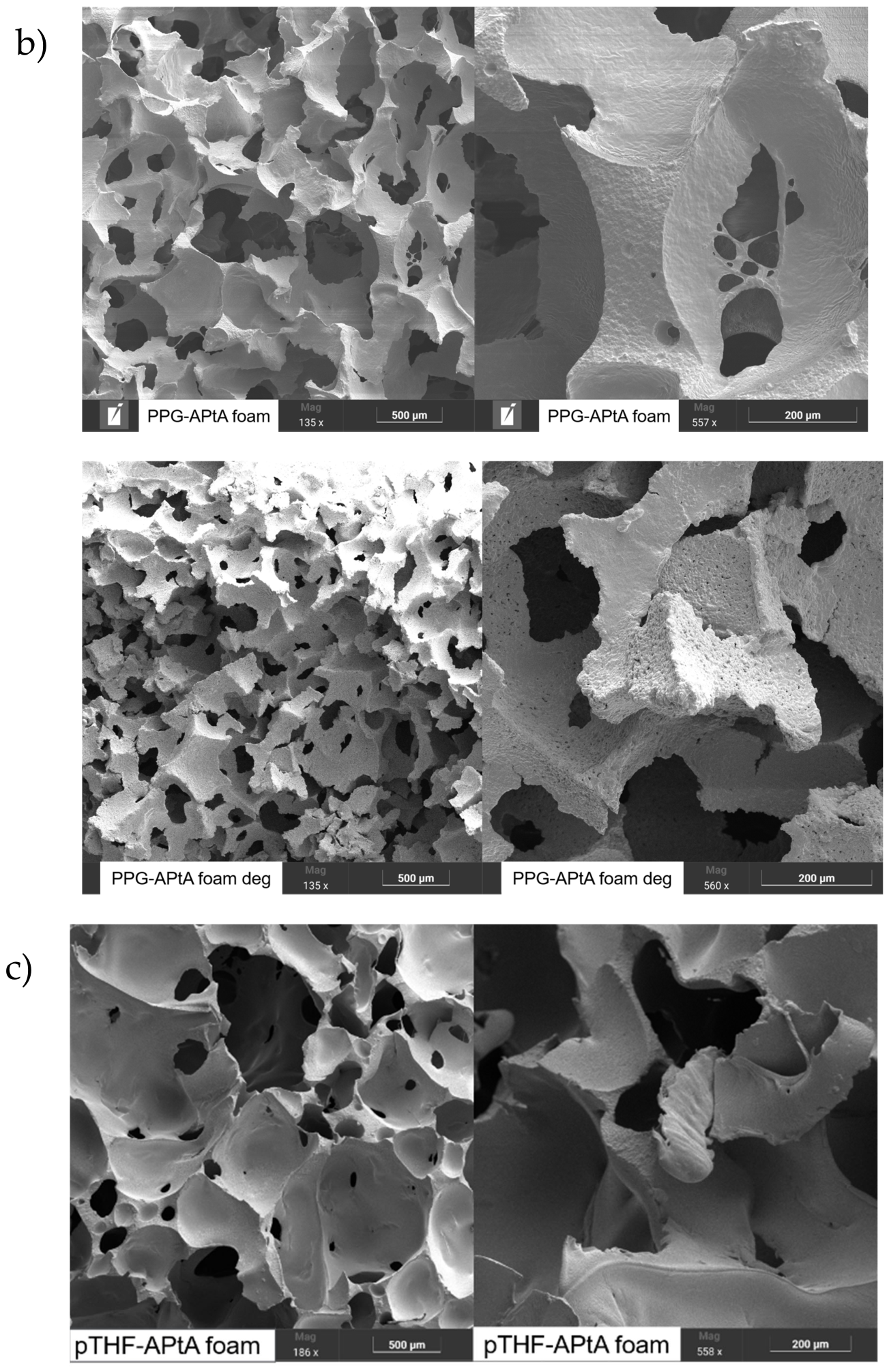 Polymers 18 01534 g010b