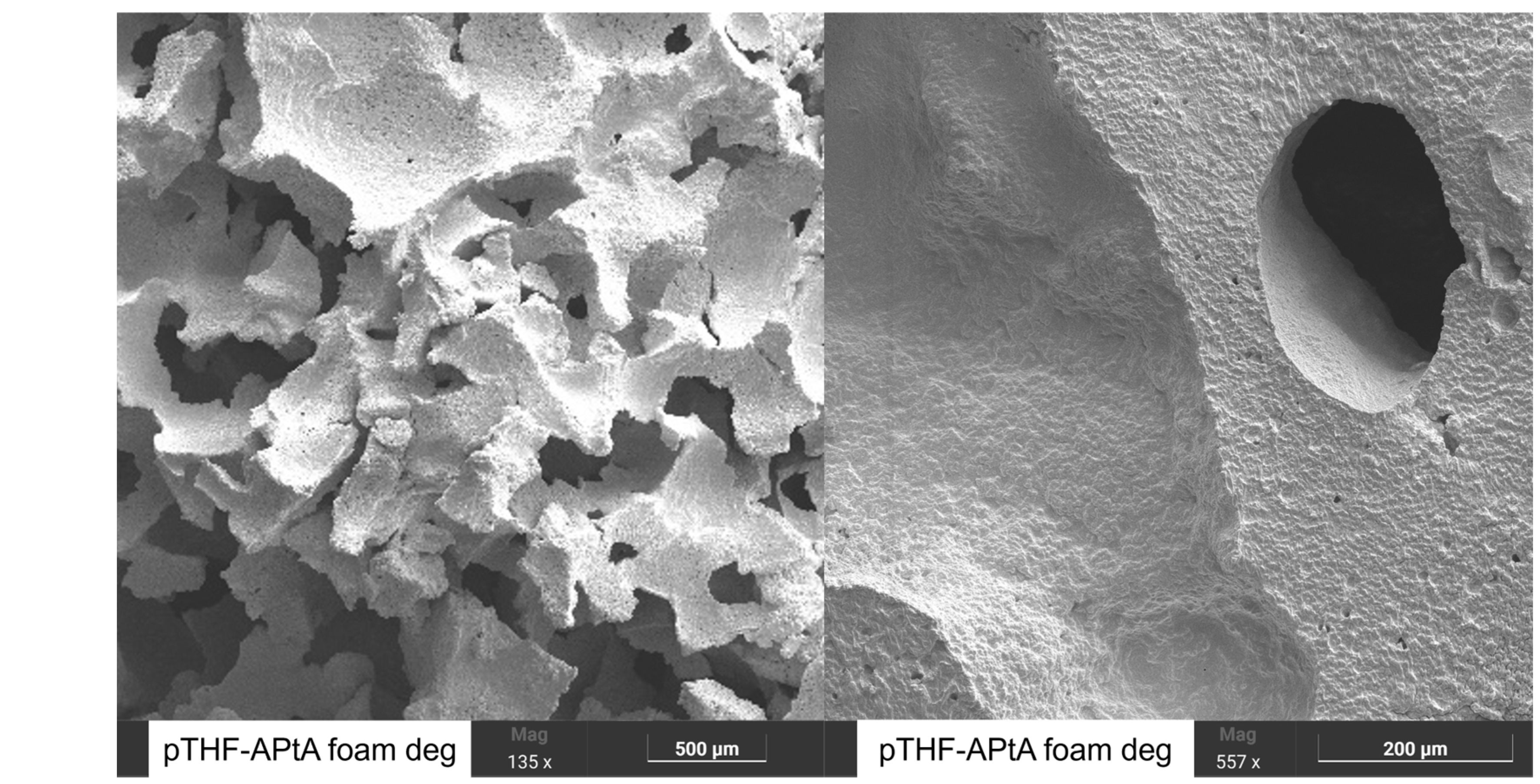 Polymers 18 01534 g010c