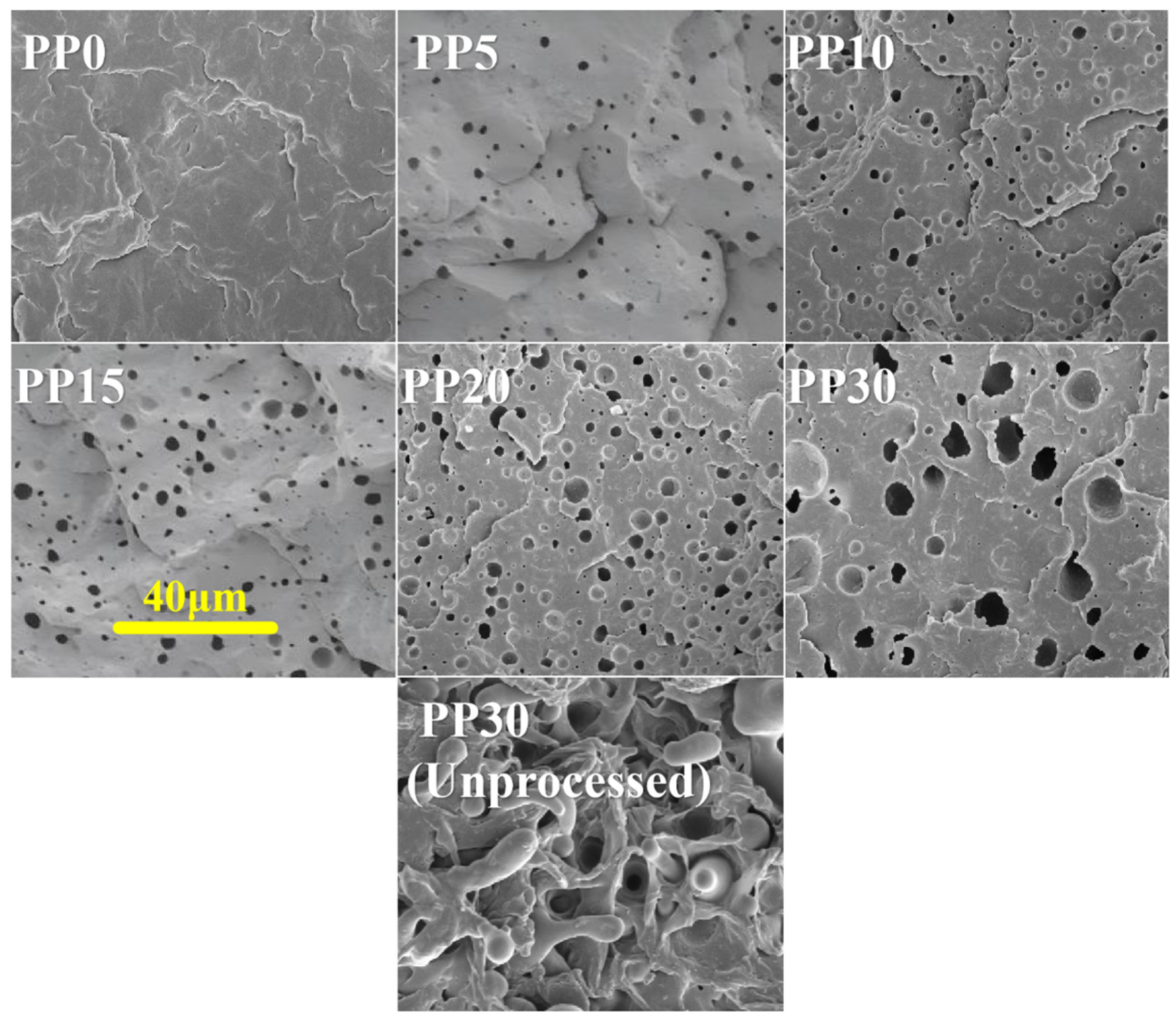 Polymers 18 01540 g002