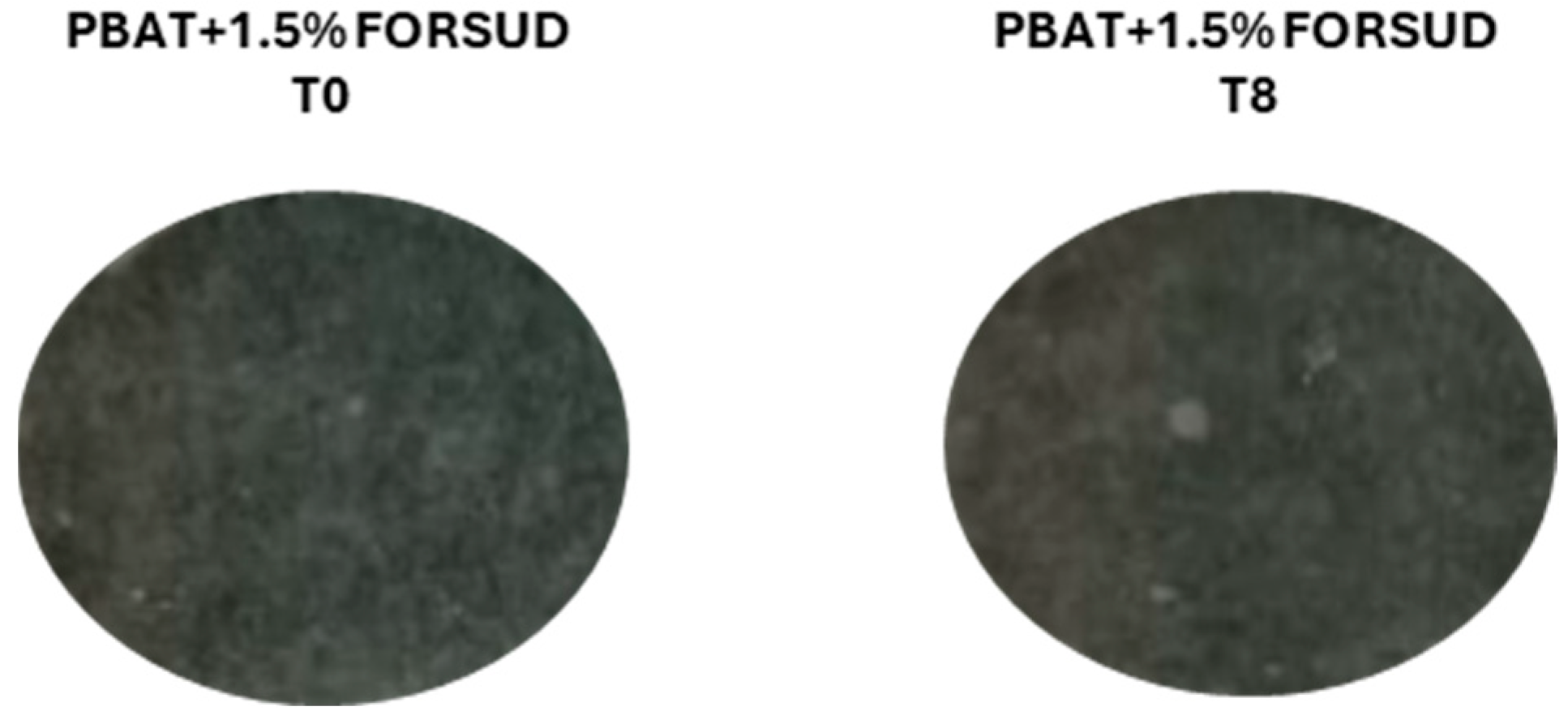 Polymers 18 01550 g008 Polymers 18 01550 g008