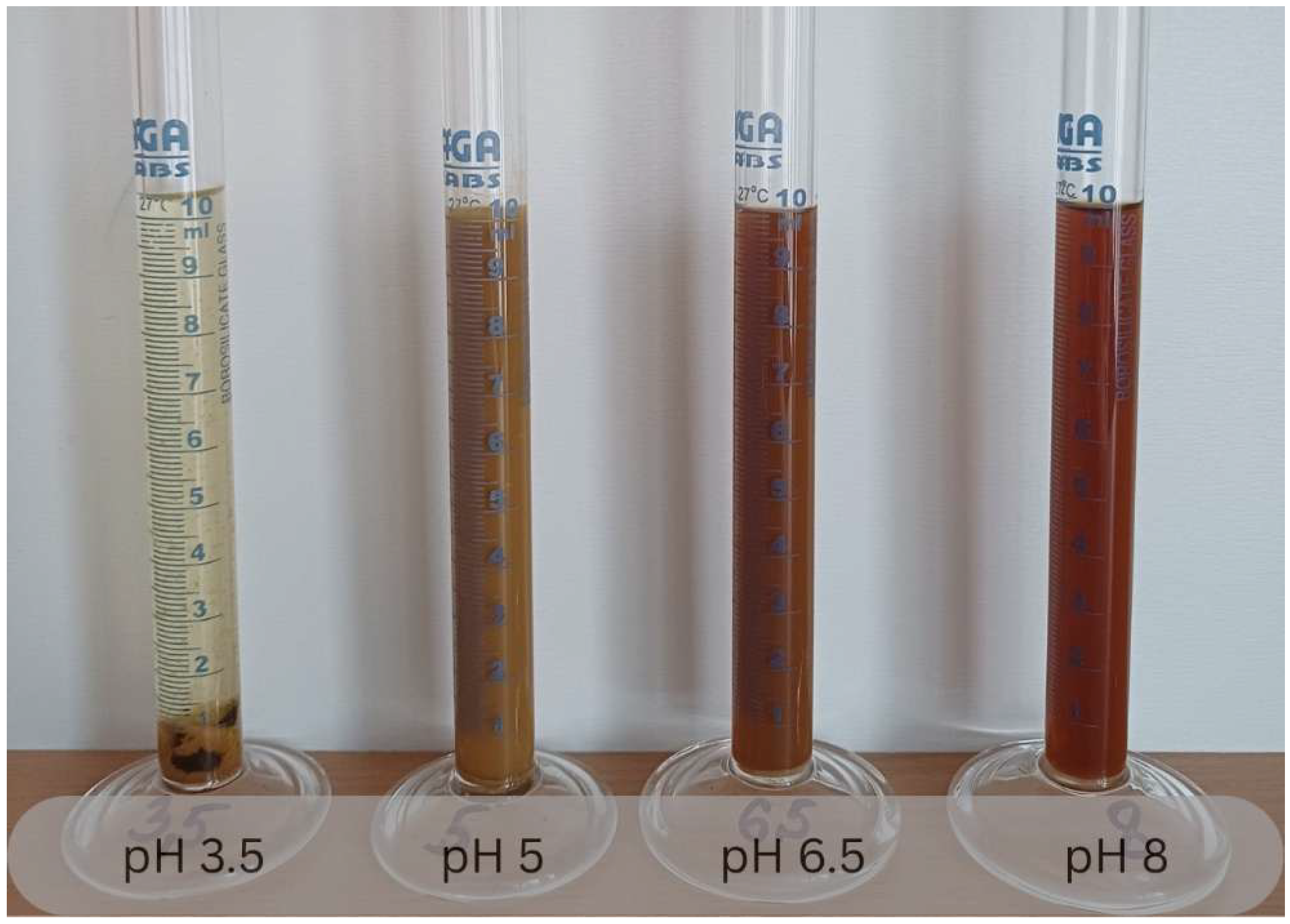 Polymers 18 01579 g002