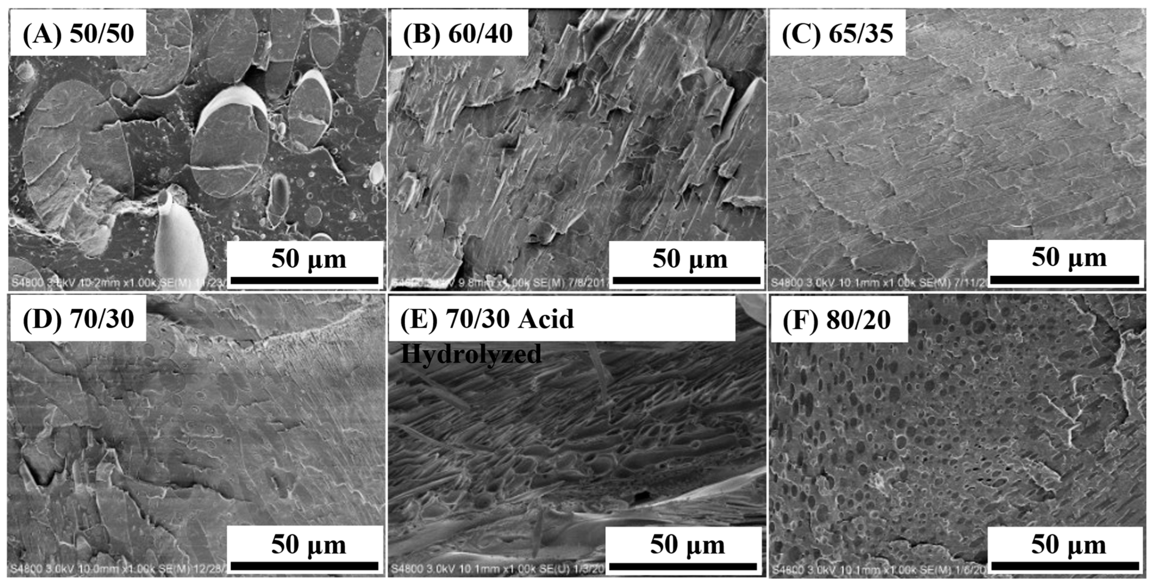 Polymers 18 01586 g001 Polymers 18 01586 g001