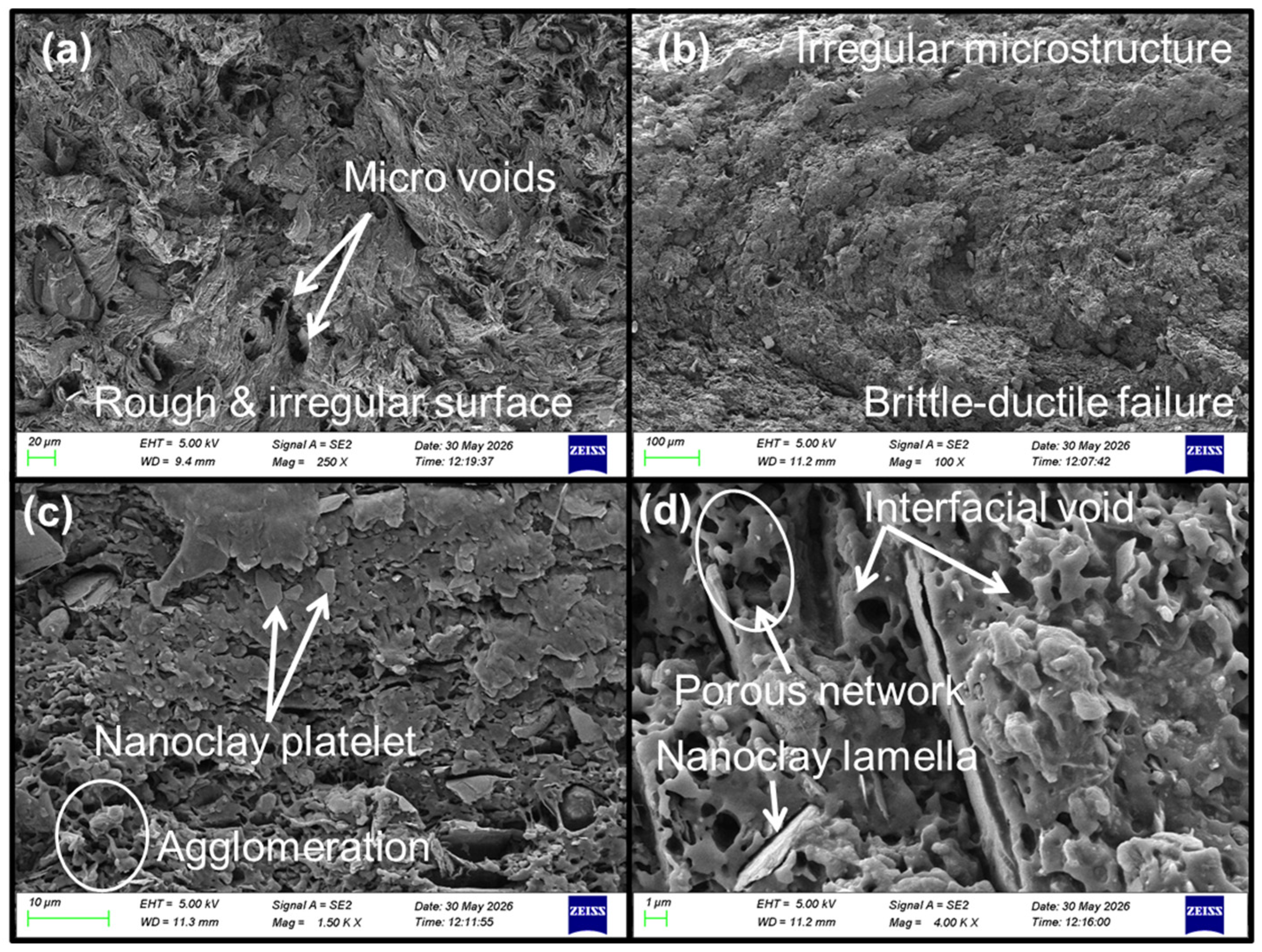 Polymers 18 01615 g006