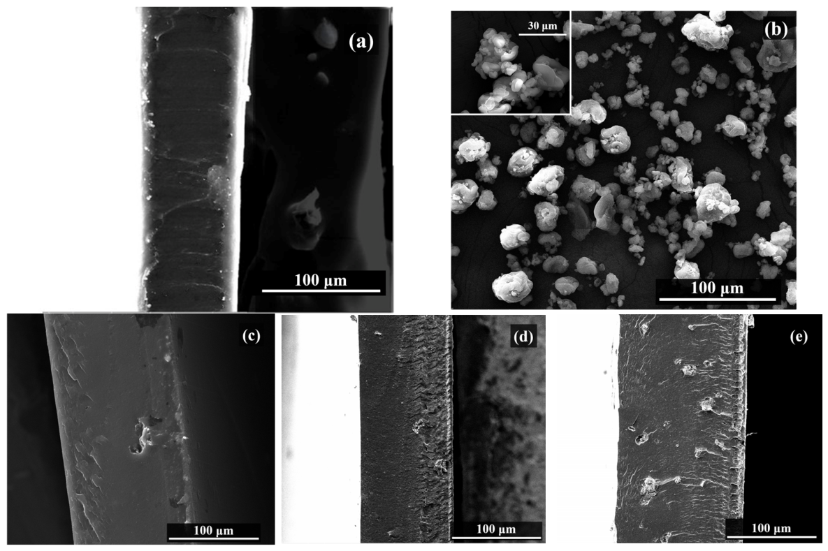 Polymers 18 01665 g002 Polymers 18 01665 g002