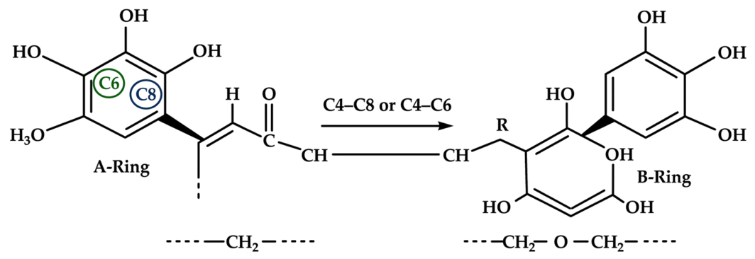 Polymers 18 01689 g006 Polymers 18 01689 g006