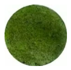 Polymers 18 01699 i009 Polymers 18 01699 i009