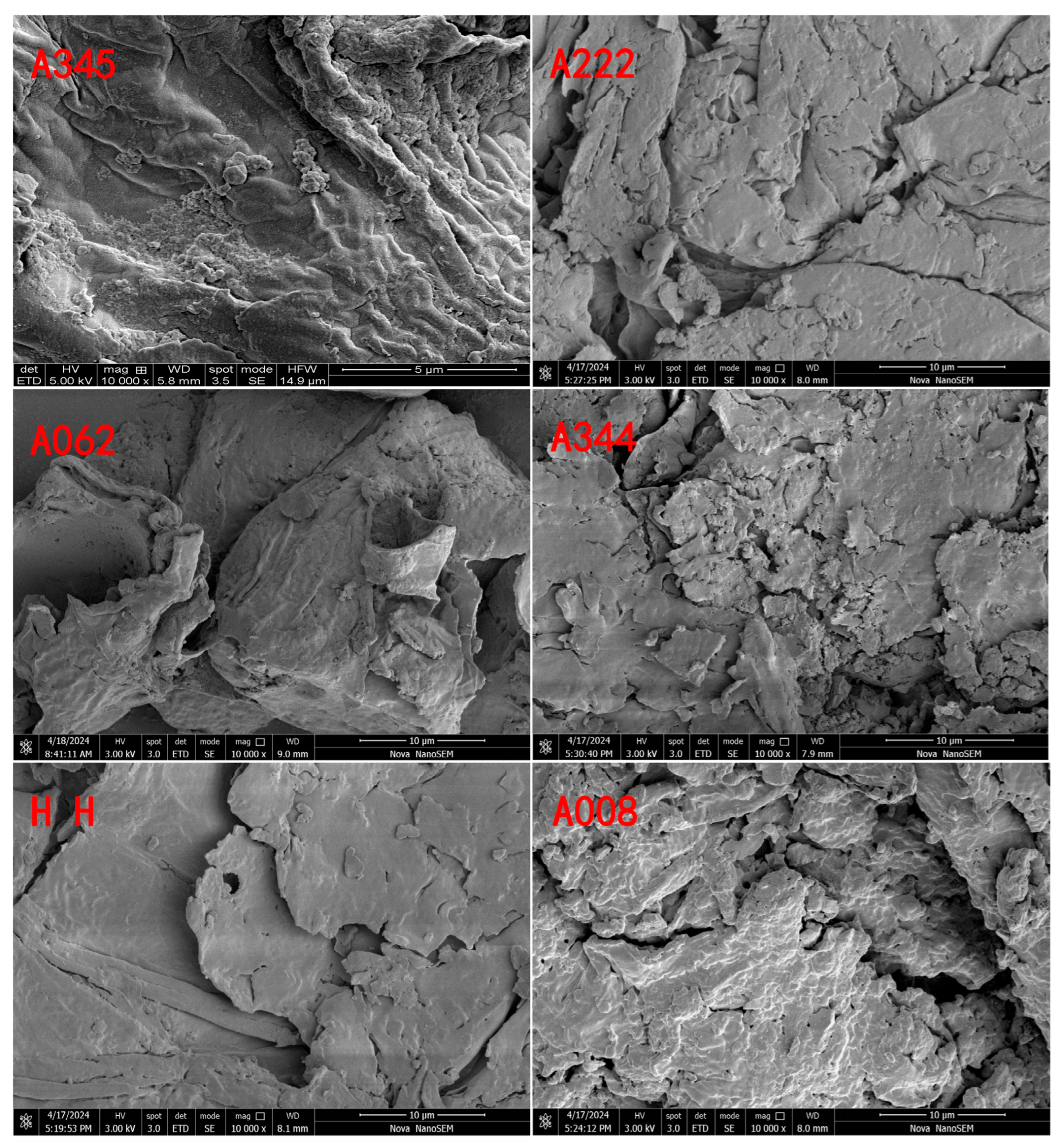 Polymers 18 01737 g006