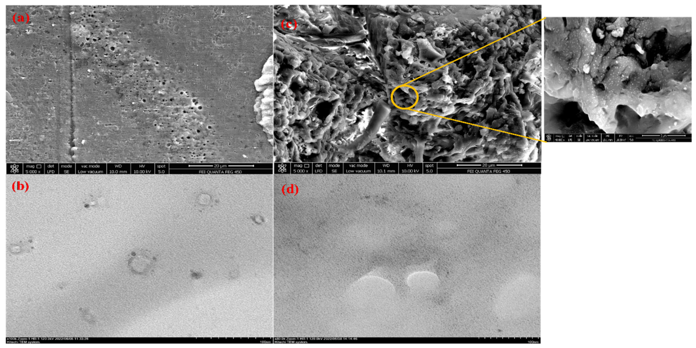 Polymers 18 01838 g003
