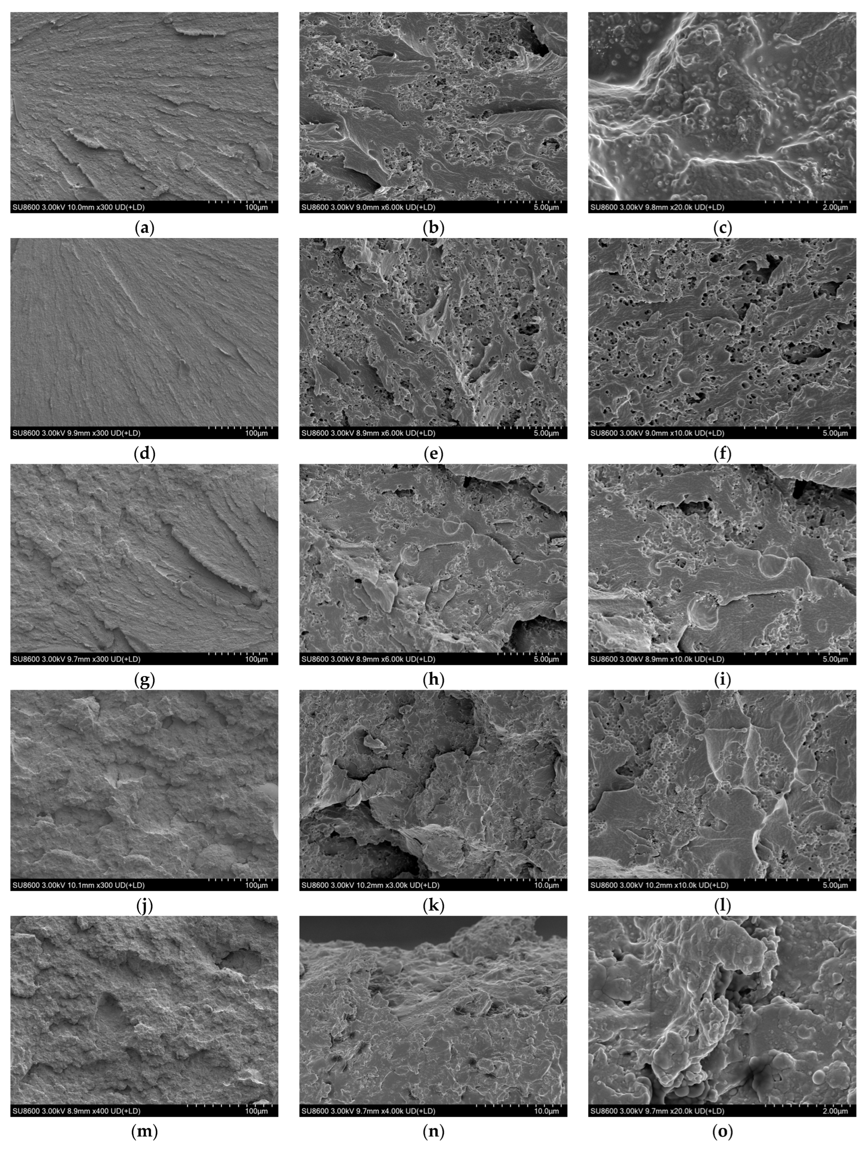 Polymers 18 01861 g011a Polymers 18 01861 g011a