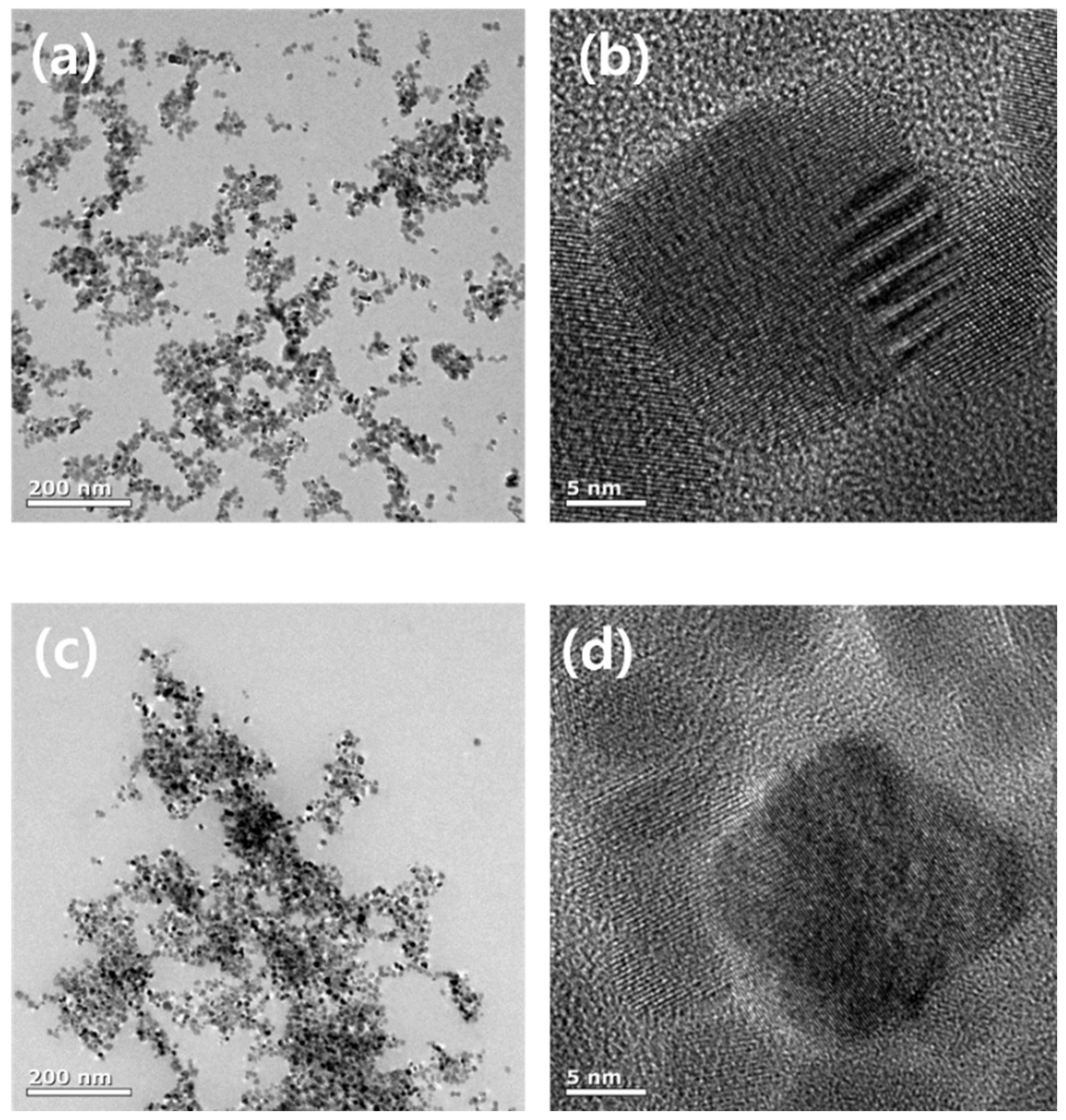 Polymers 18 01899 g010