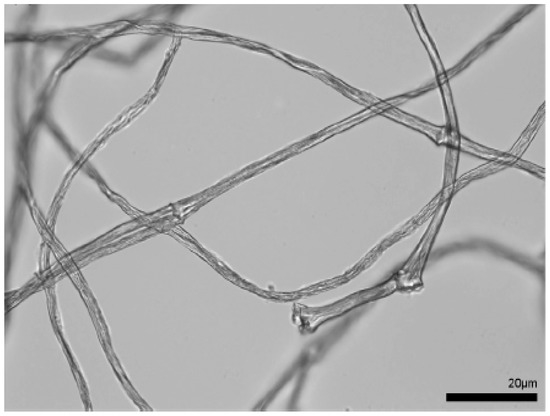 Polysaccharides 02 00005 g001 550