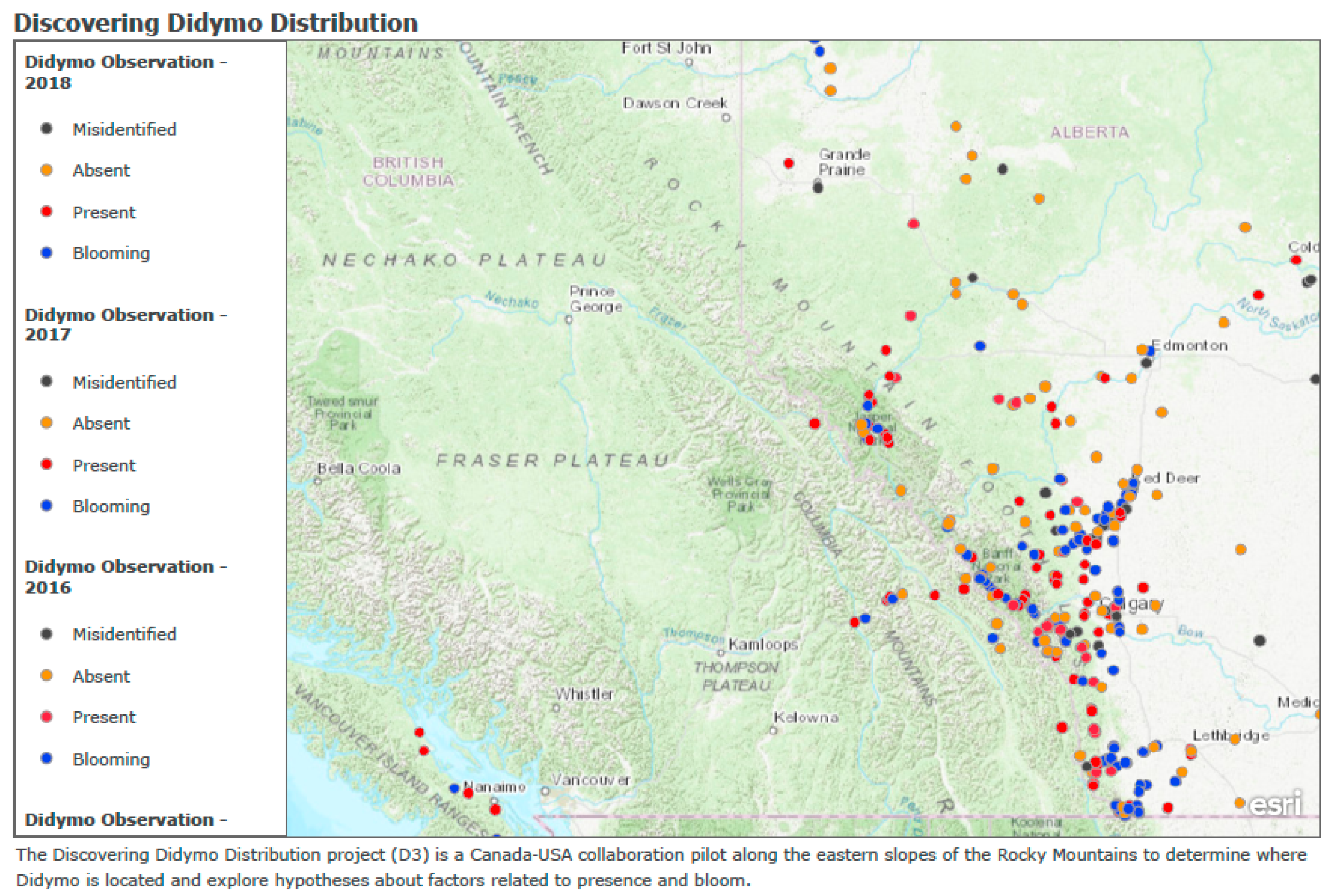 Polysaccharides 02 00005 g004