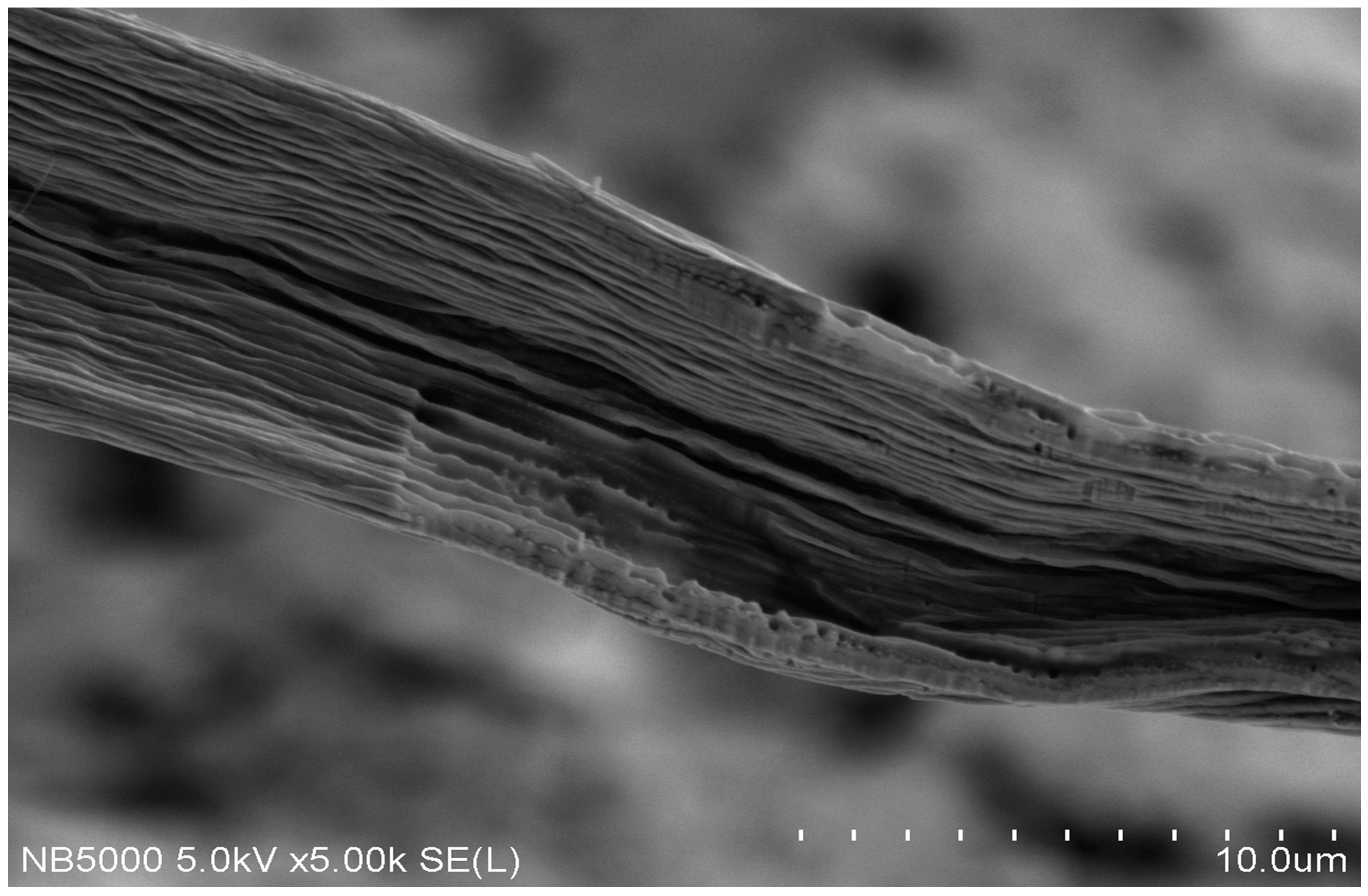 Polysaccharides 02 00005 g007