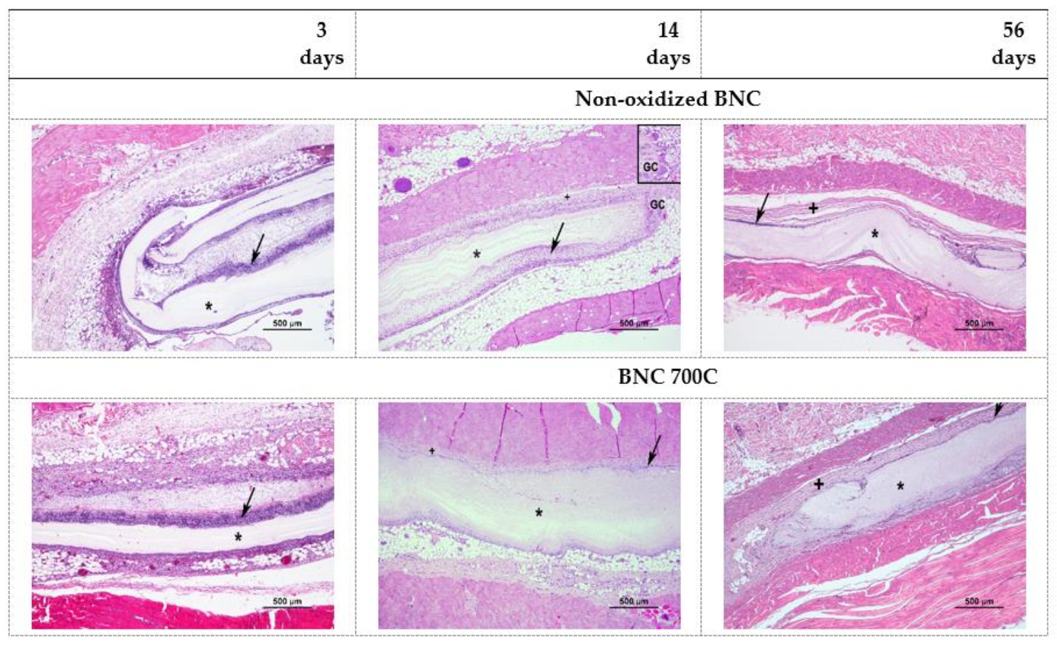Polysaccharides 02 00006 g009 Polysaccharides 02 00006 g009