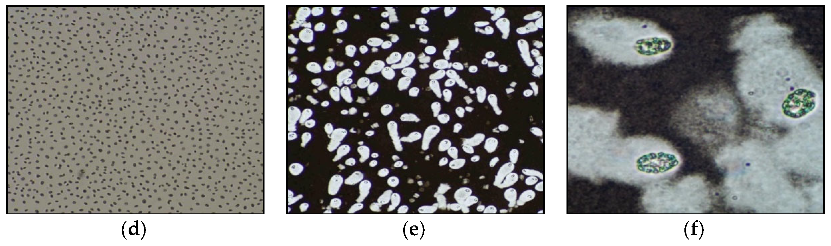 Polysaccharides 02 00009 g003b