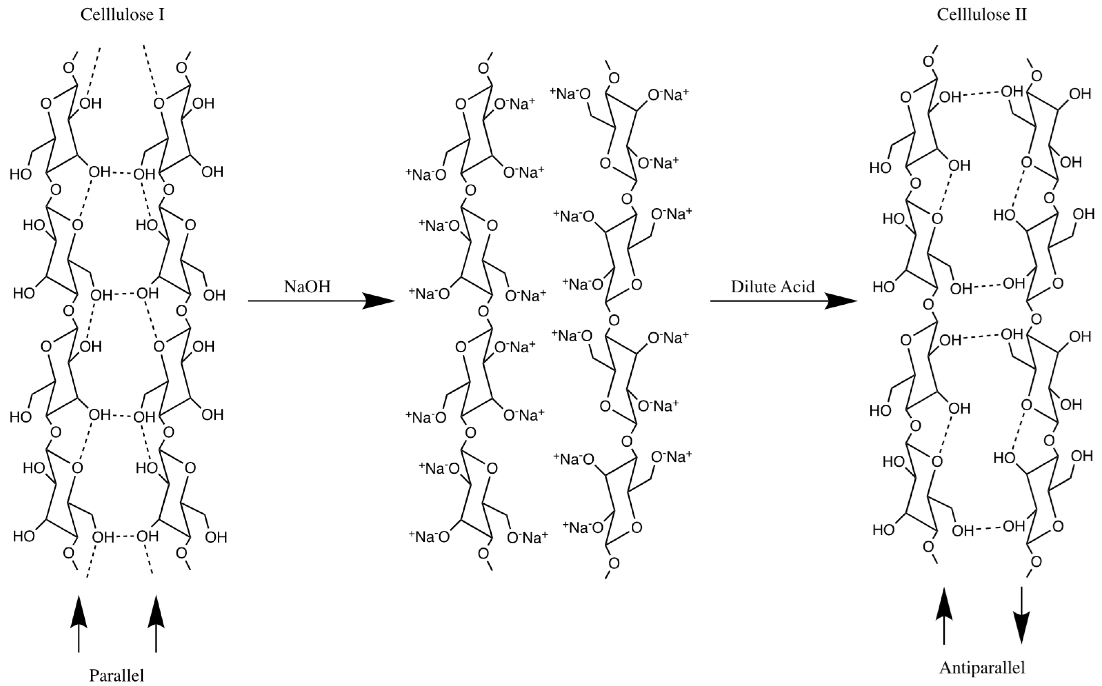 Polysaccharides 02 00010 g005 Polysaccharides 02 00010 g005