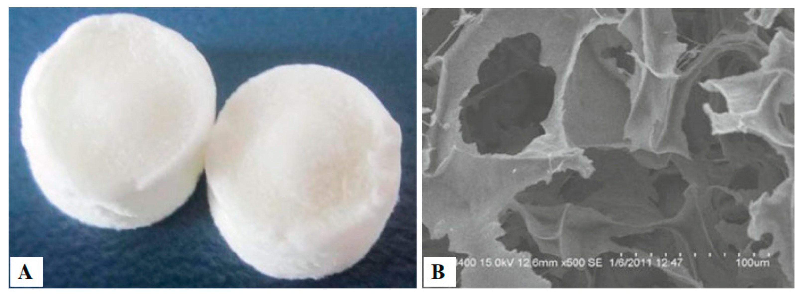 Polysaccharides 02 00011 g004 Polysaccharides 02 00011 g004