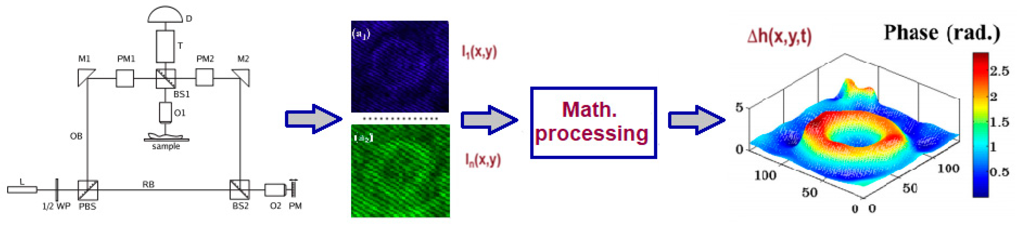 Polysaccharides 02 00011 g005 Polysaccharides 02 00011 g005