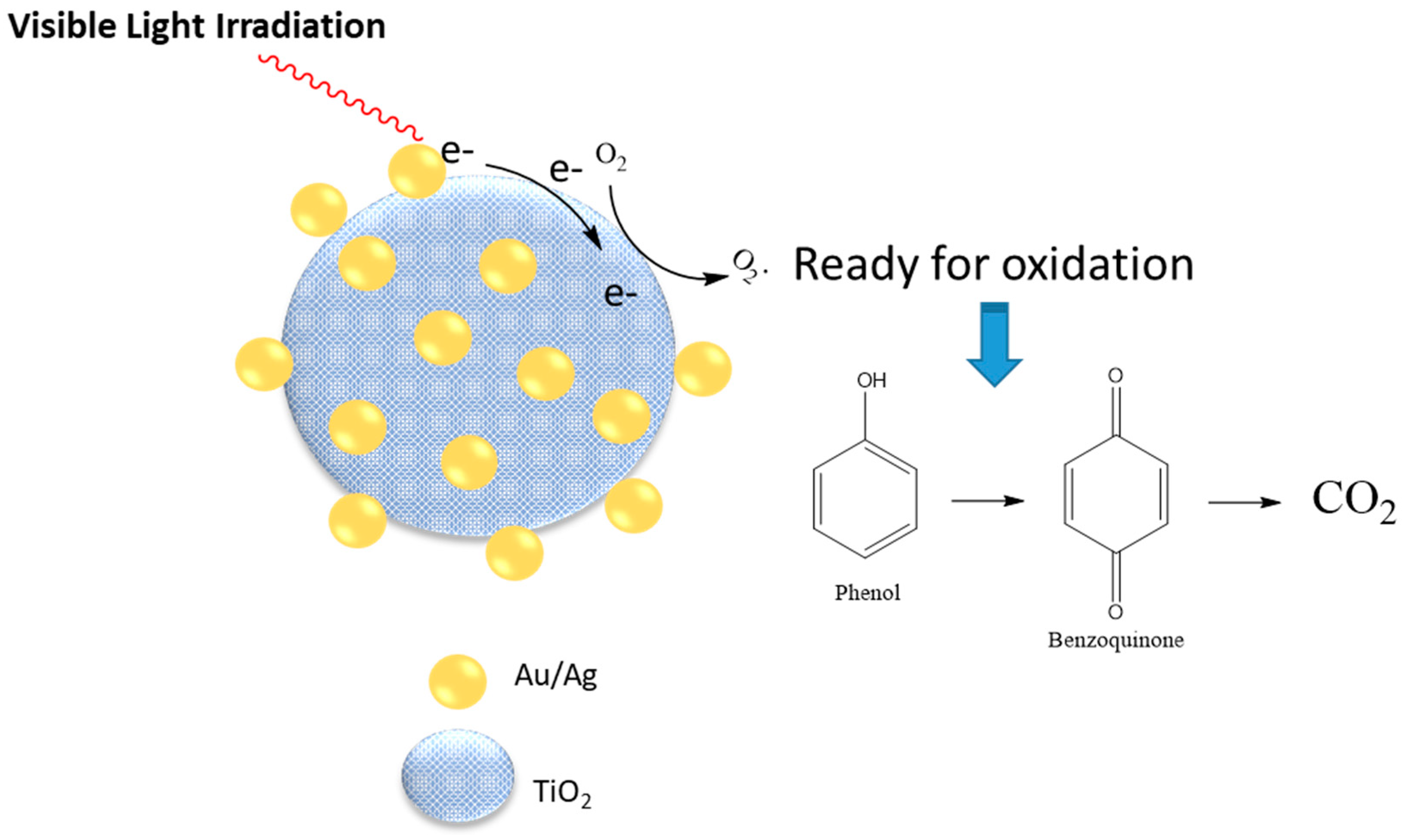 Polysaccharides 02 00012 g004 Polysaccharides 02 00012 g004